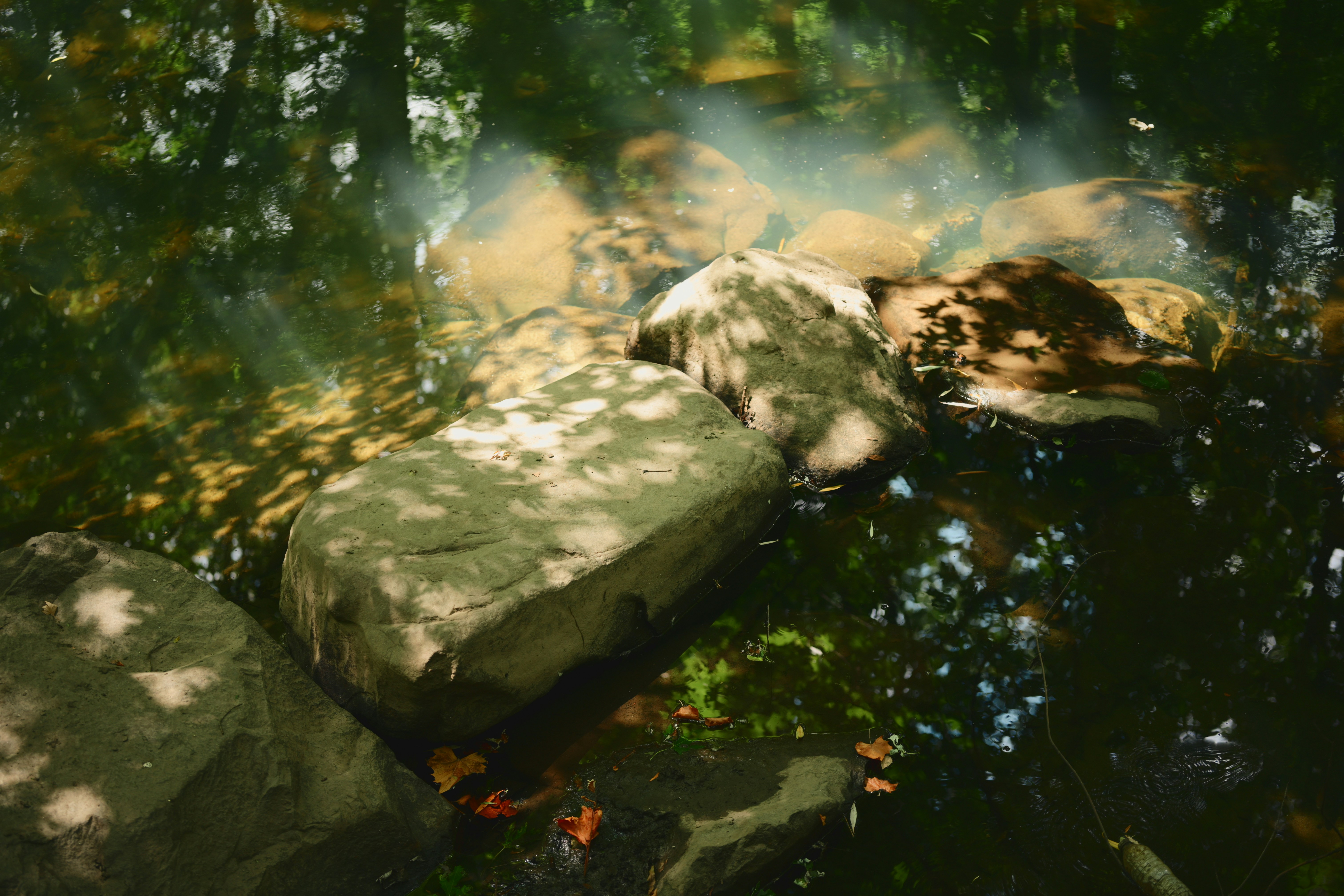 Rocks in clear water with sunlight and tree reflections.