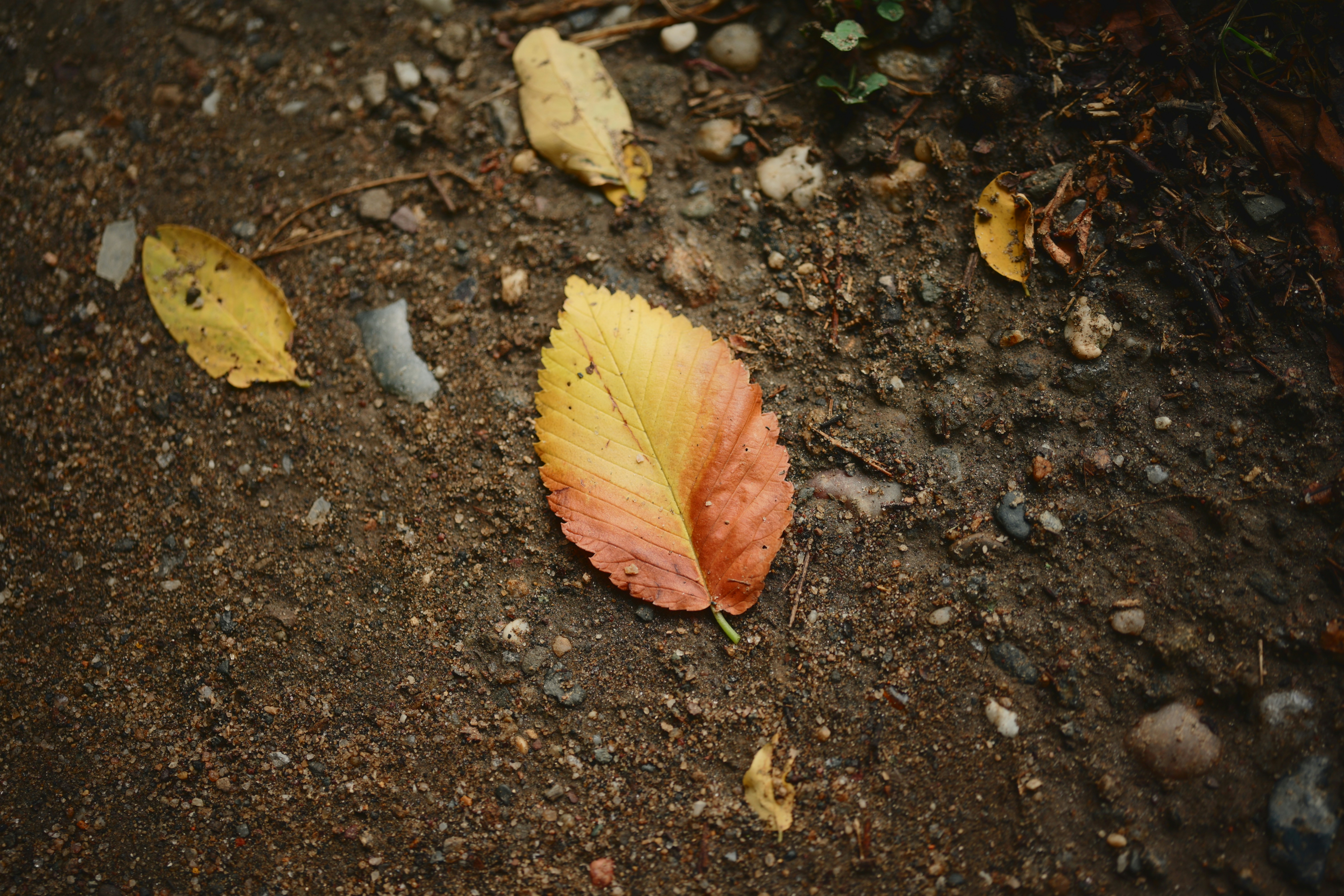 Photo by yi2026