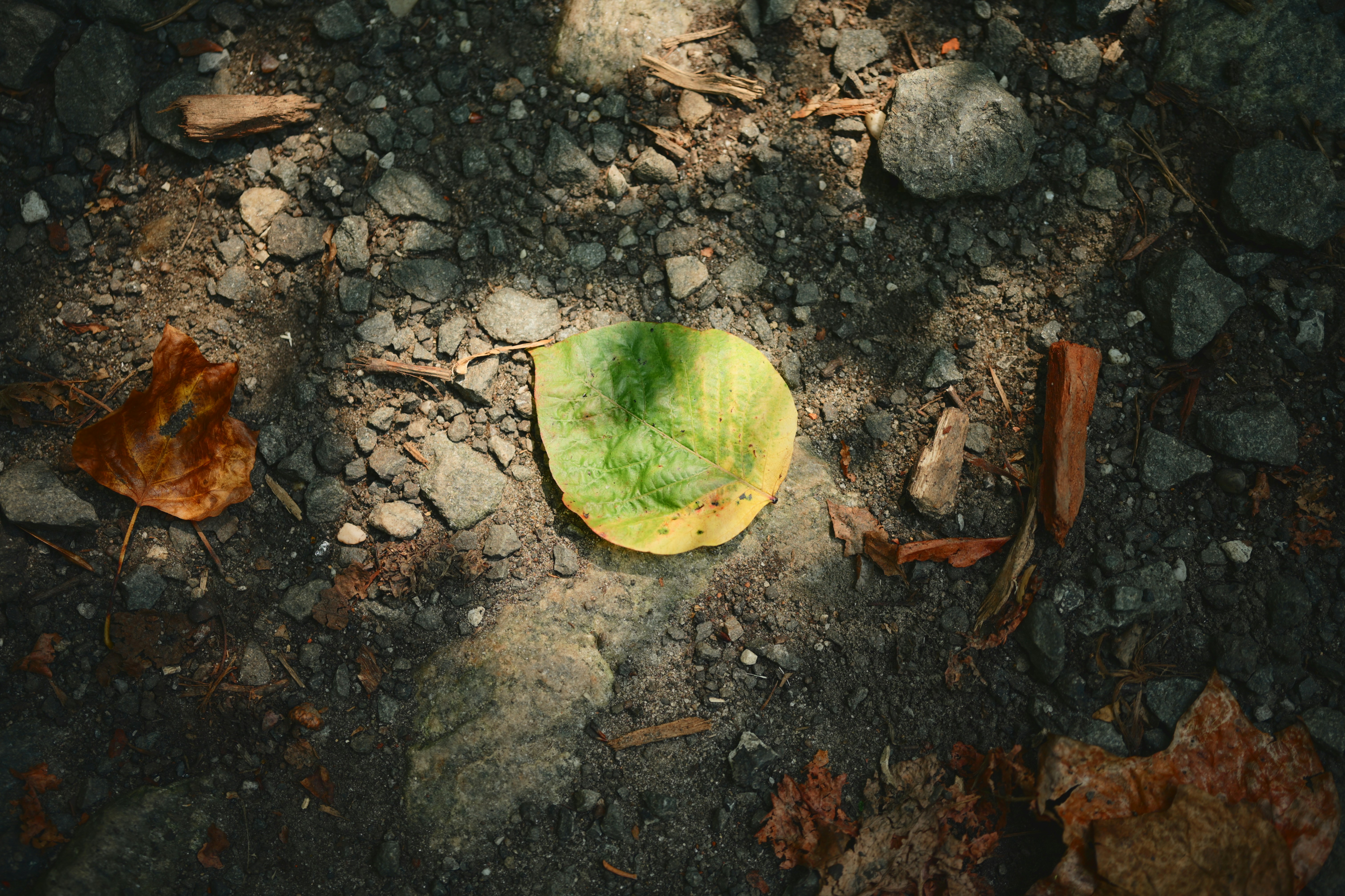 Photo by yi2026