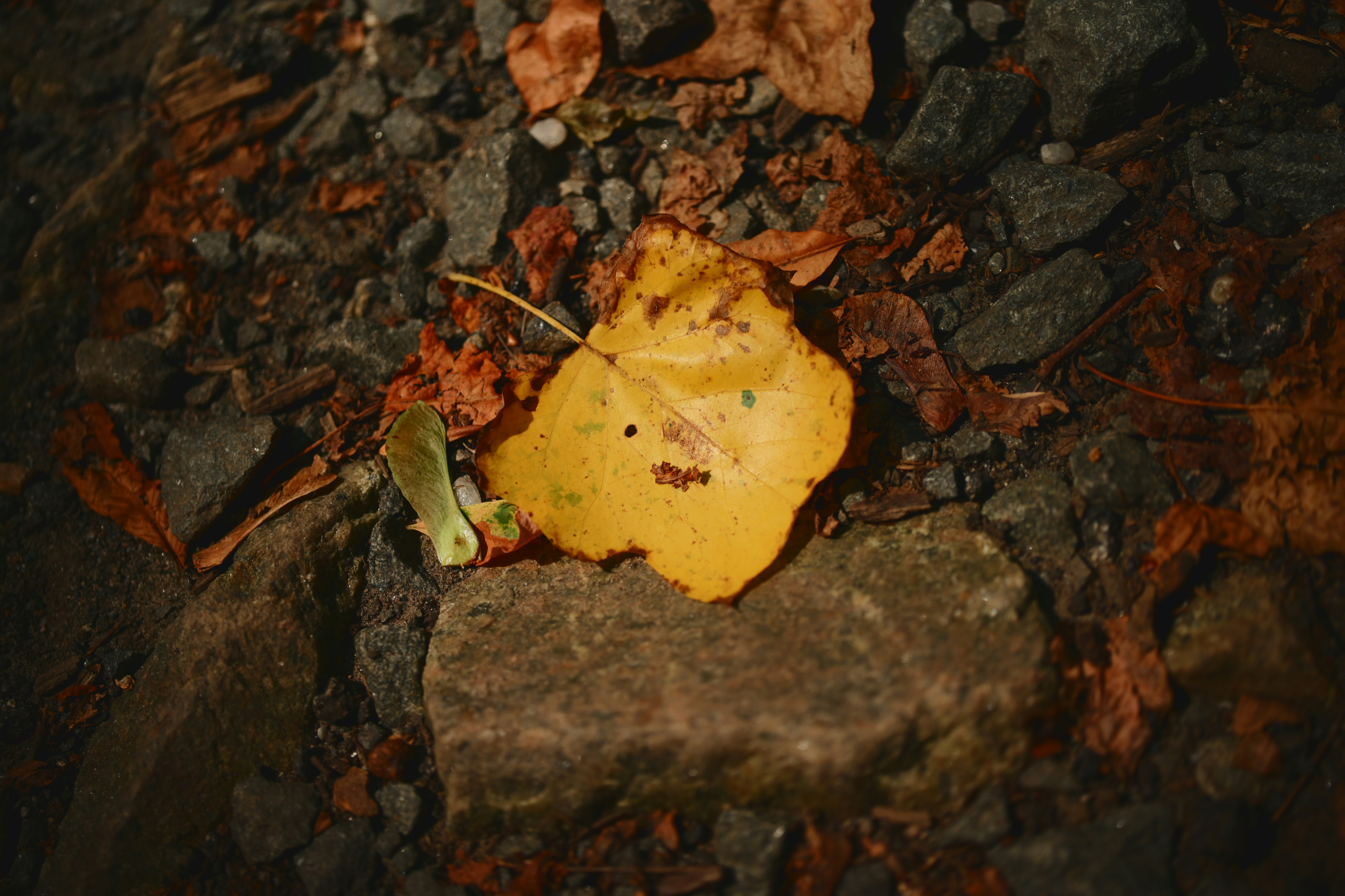 Photo by yi2026