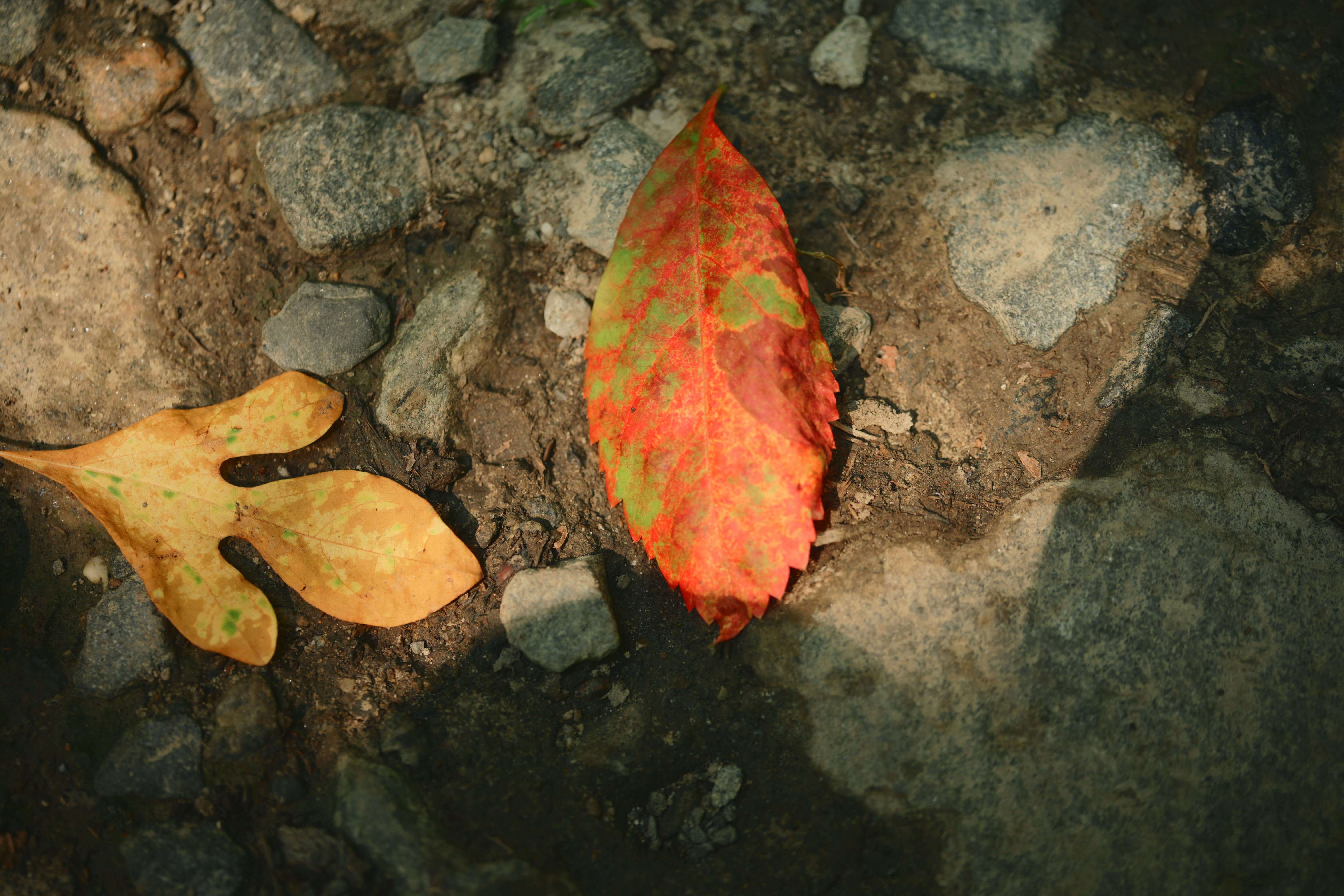 Photo by yi2026