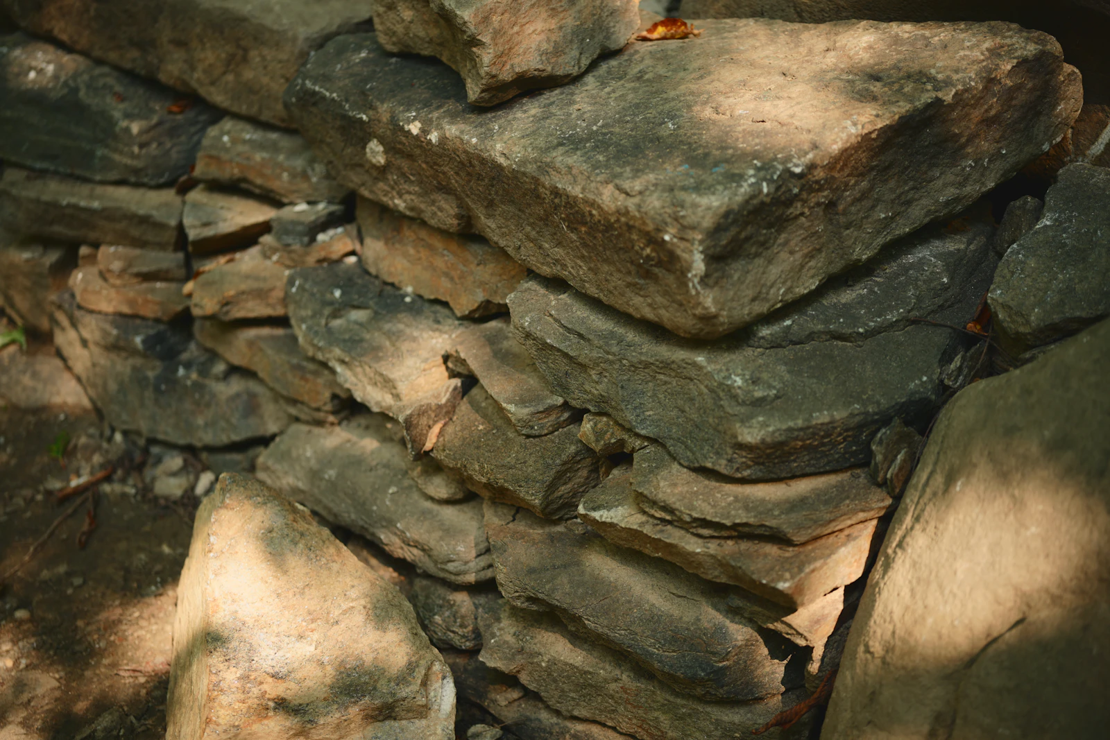 Dave's Rock Garden
