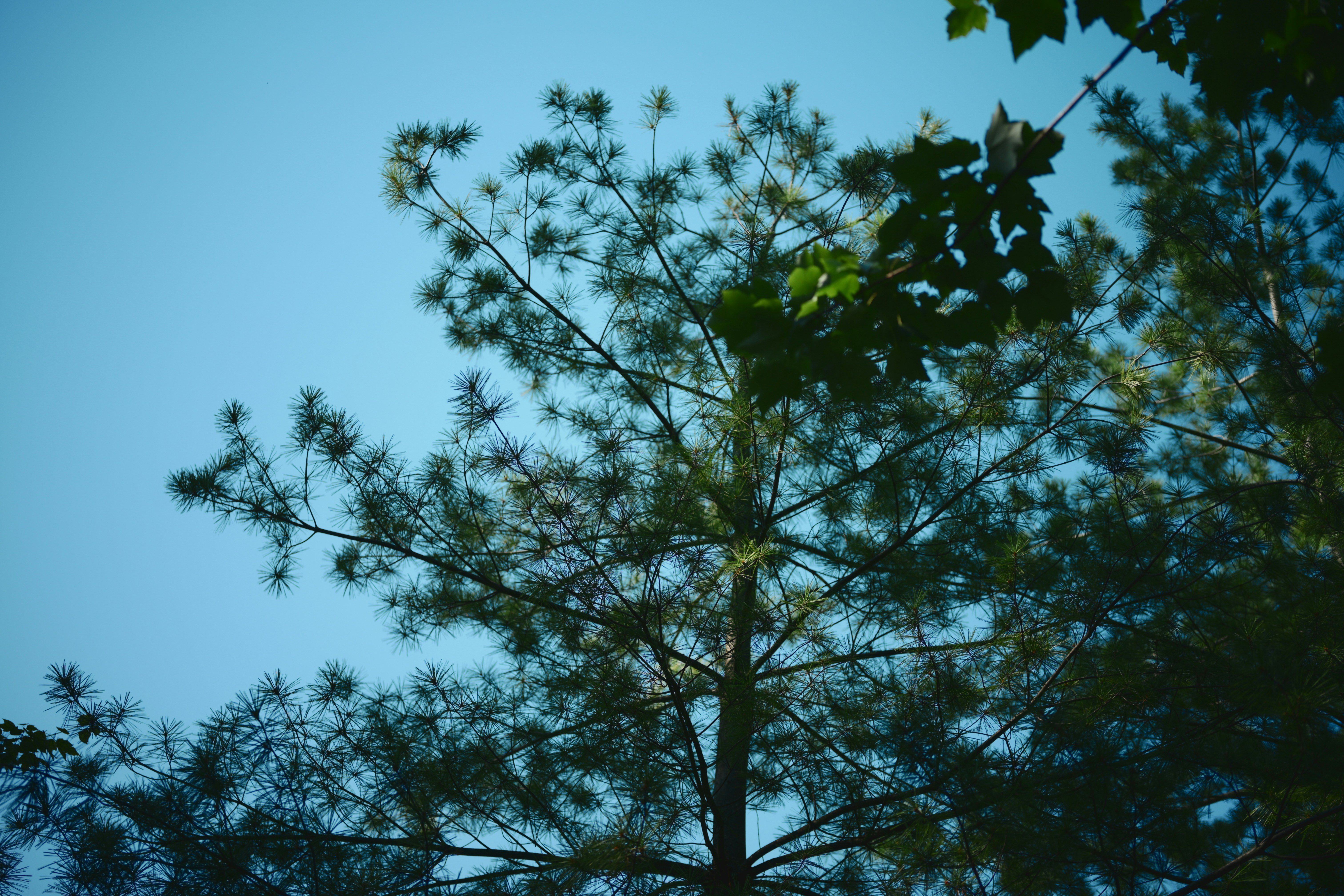 Photo by yi2026