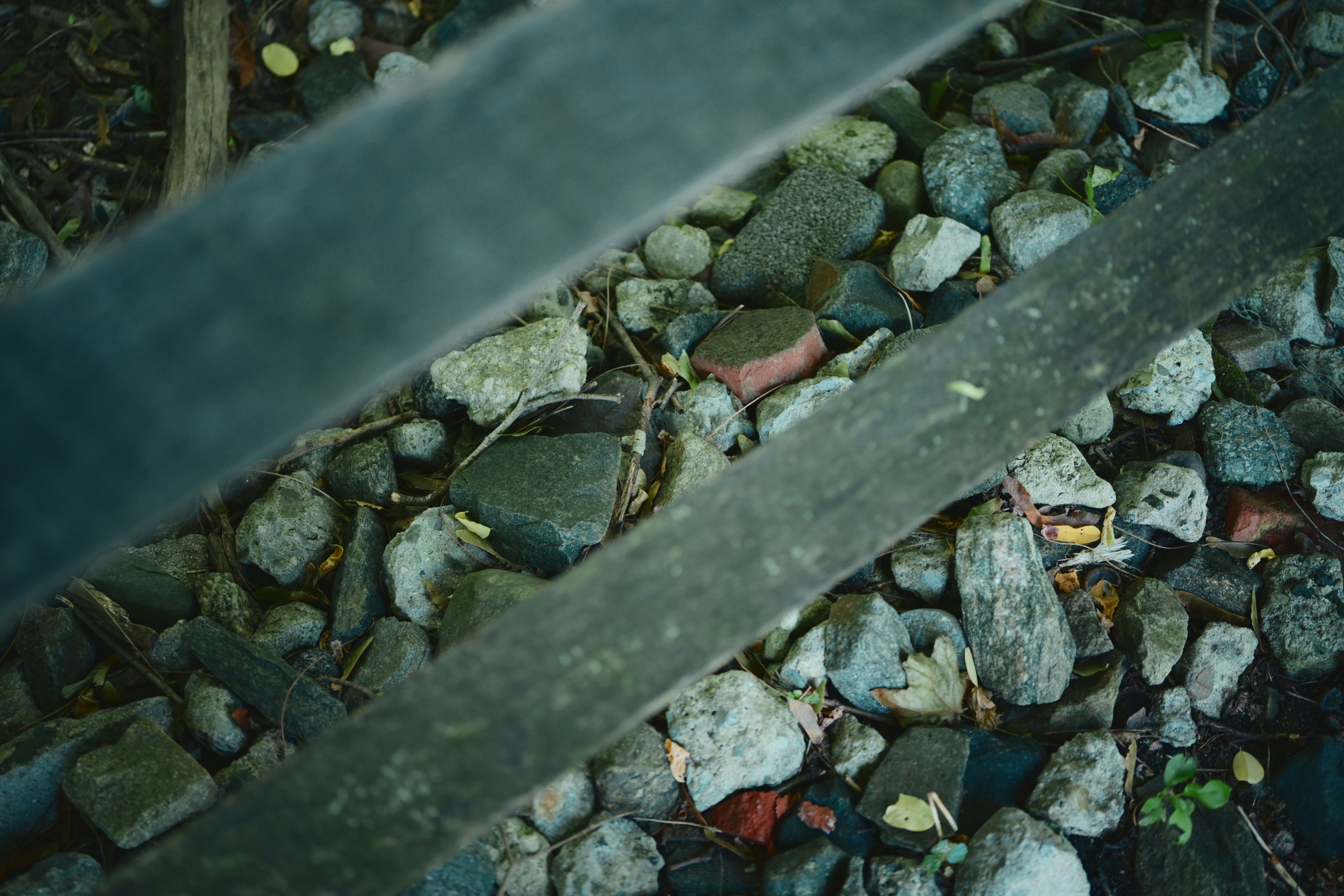 Photo by yi2026