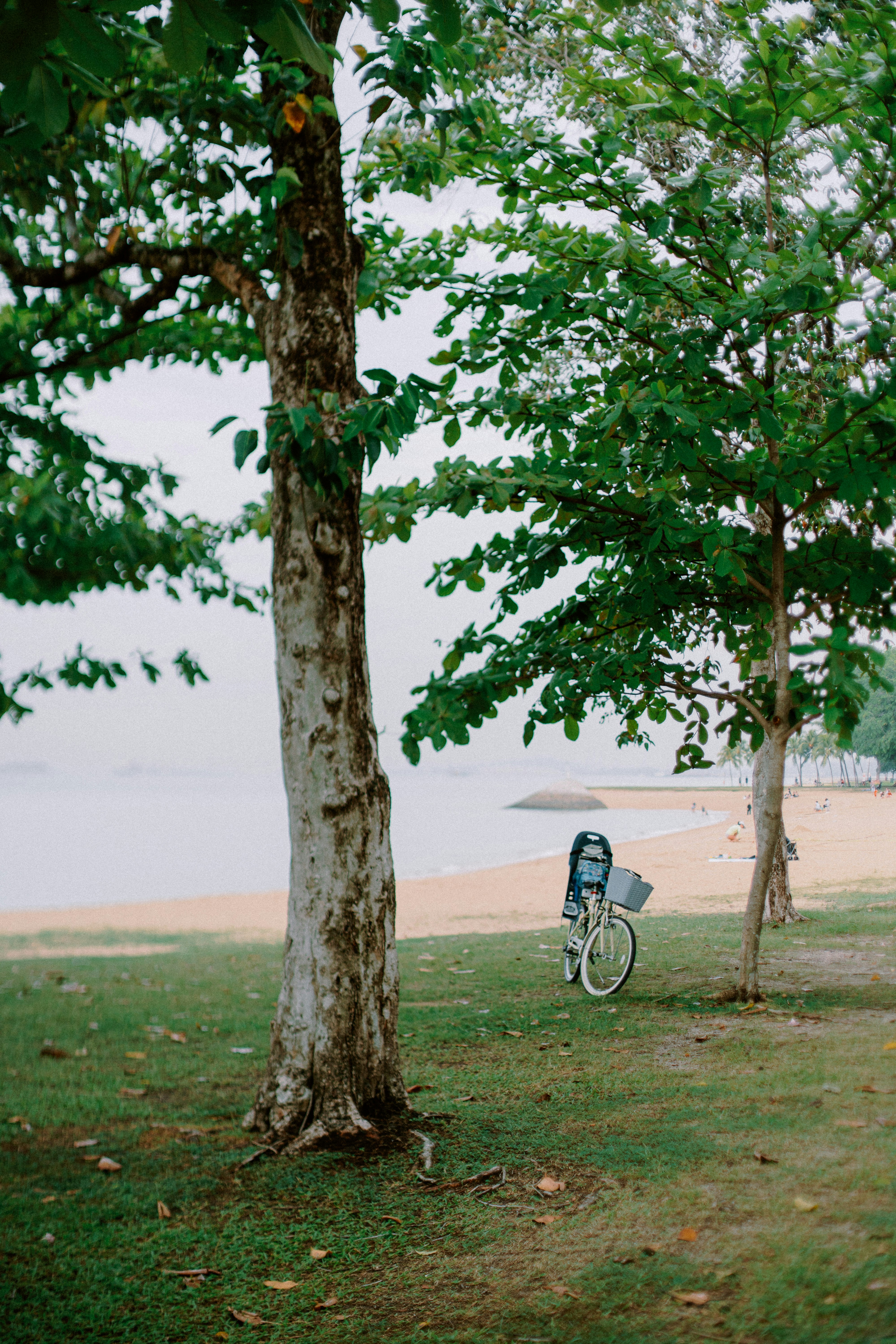 bike parked in green patch @ Singapore East Coast beach