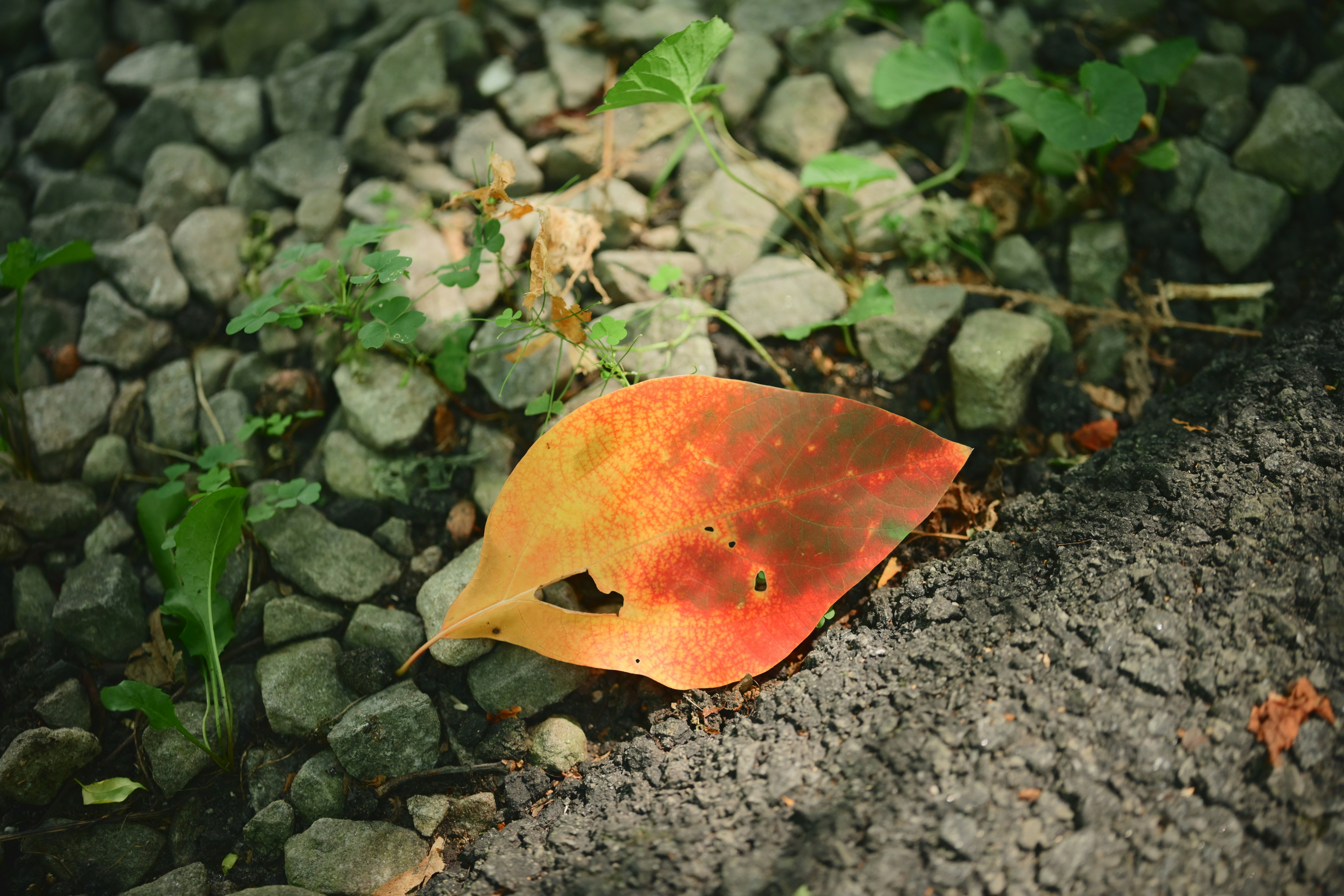 Photo by yi2026