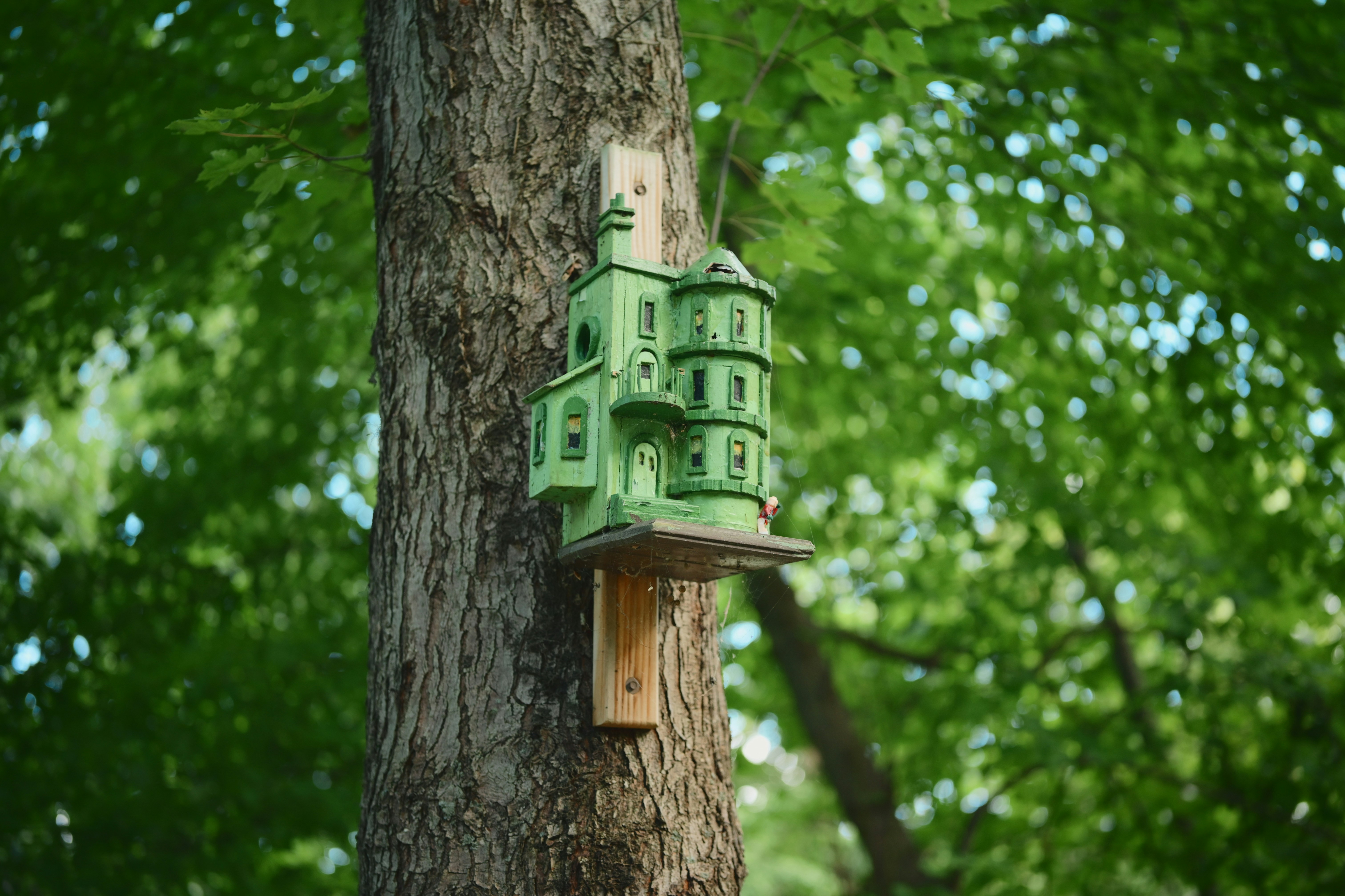 How to Build a Simple Birdhouse for Kids: A Fun DIY Project