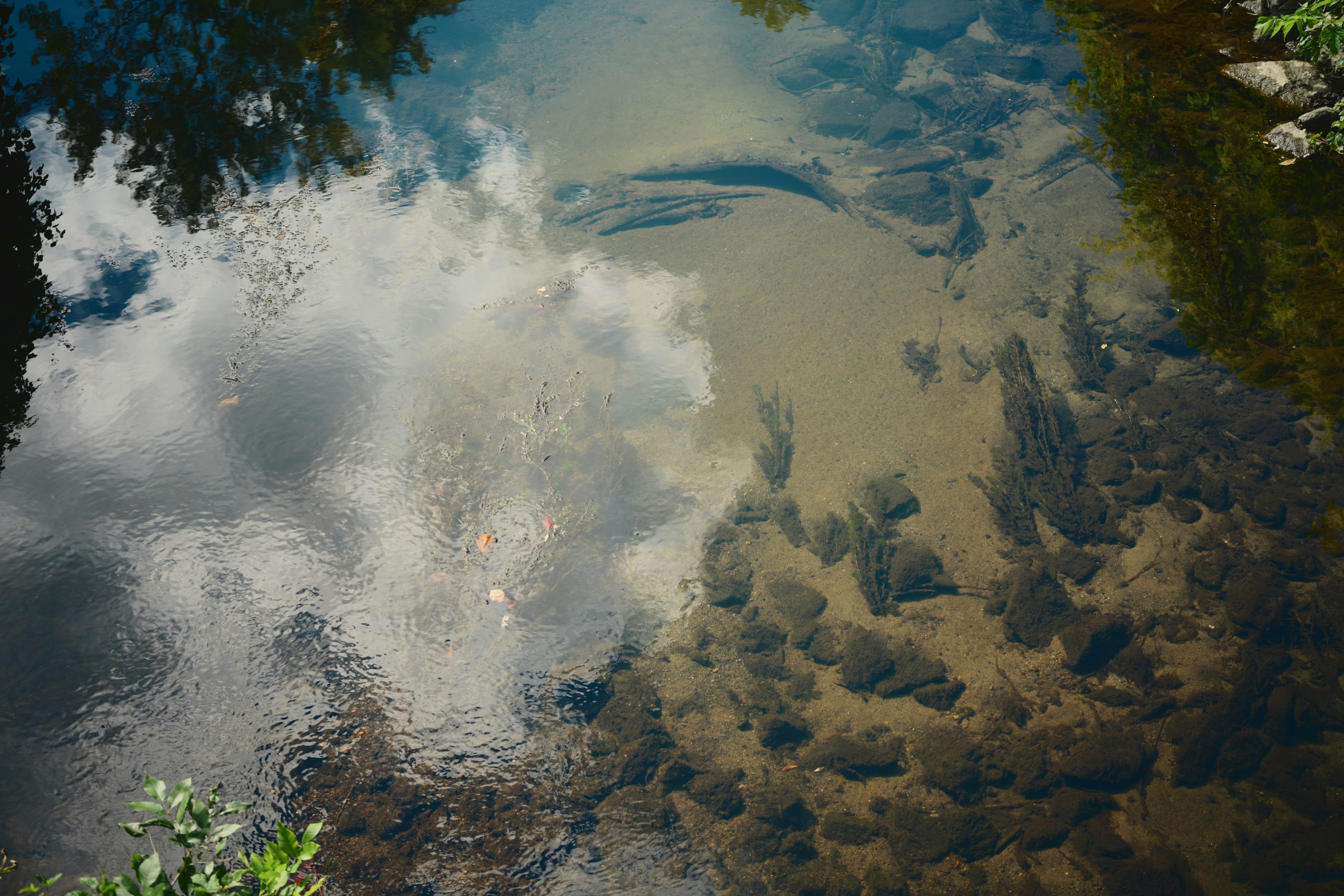 Photo by yi2026
