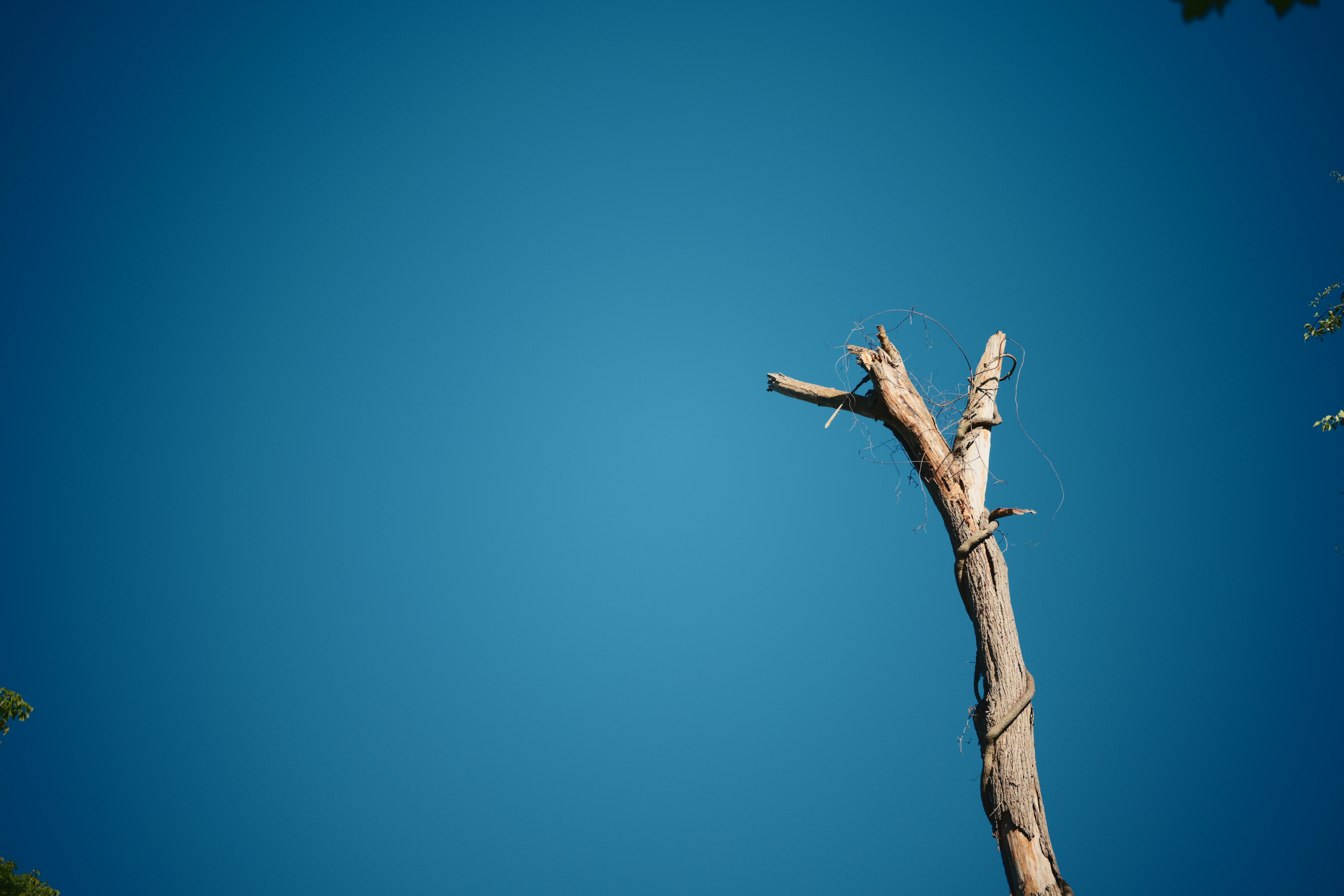 Photo by yi2026