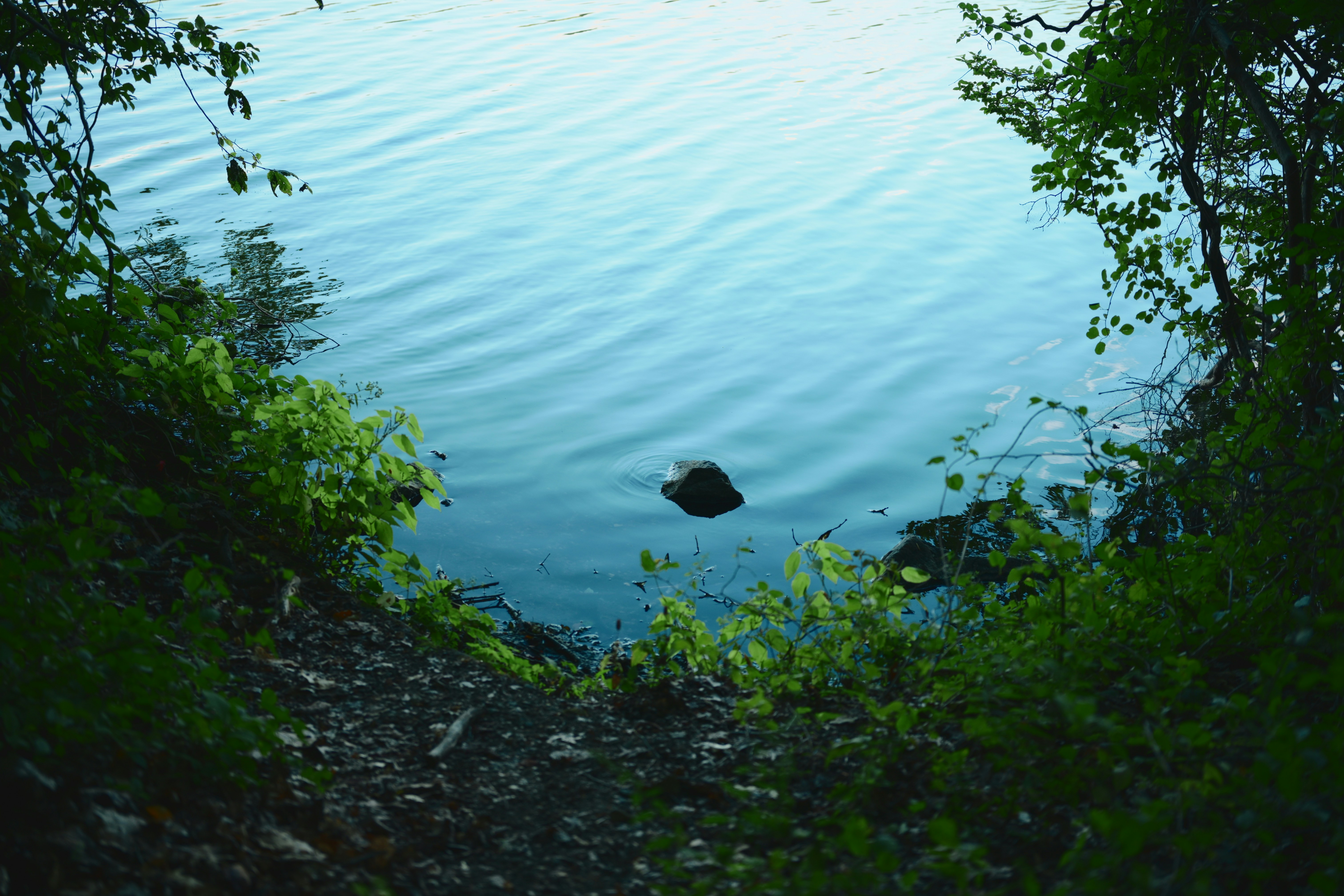 Photo by yi2026
