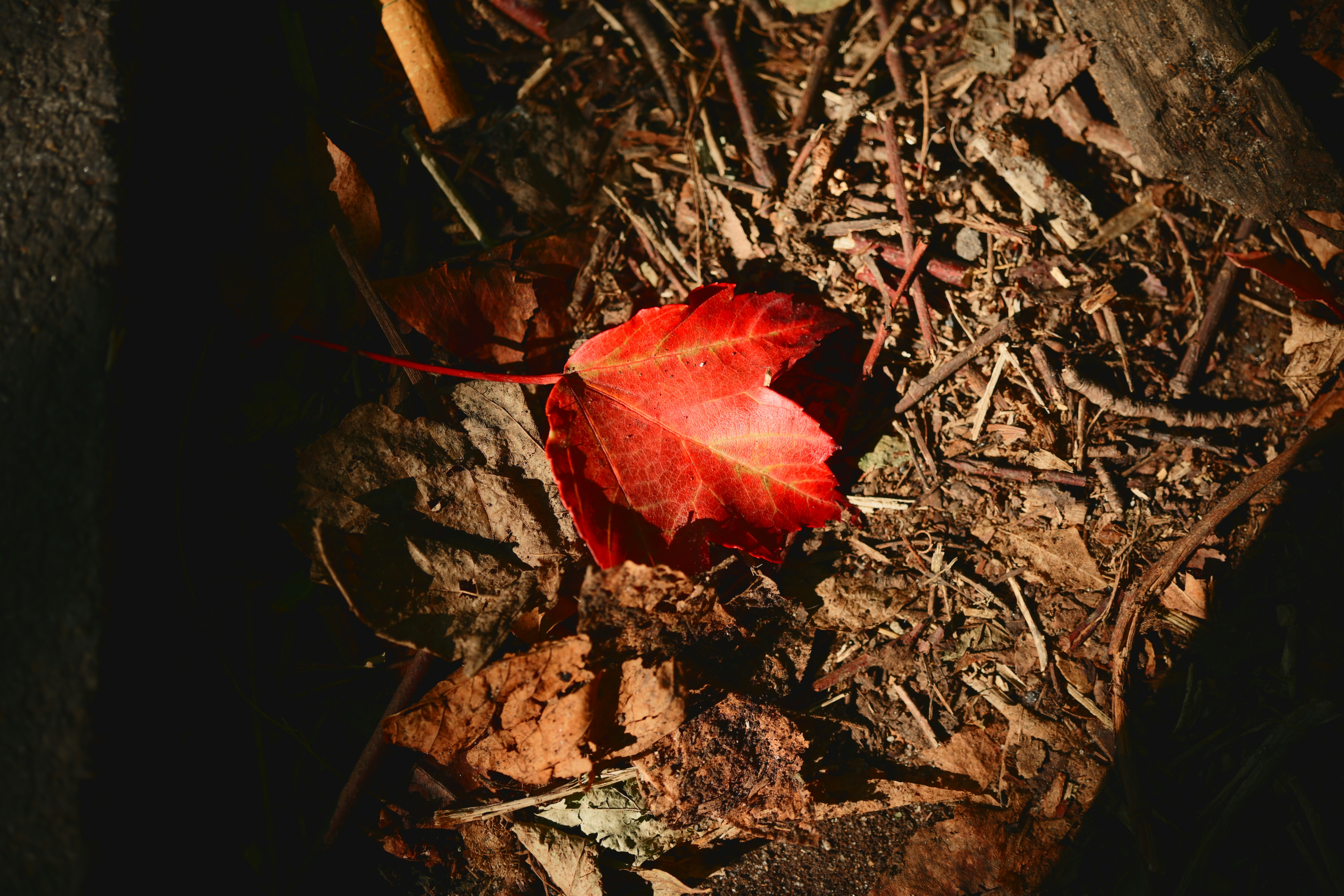 Photo by yi2026
