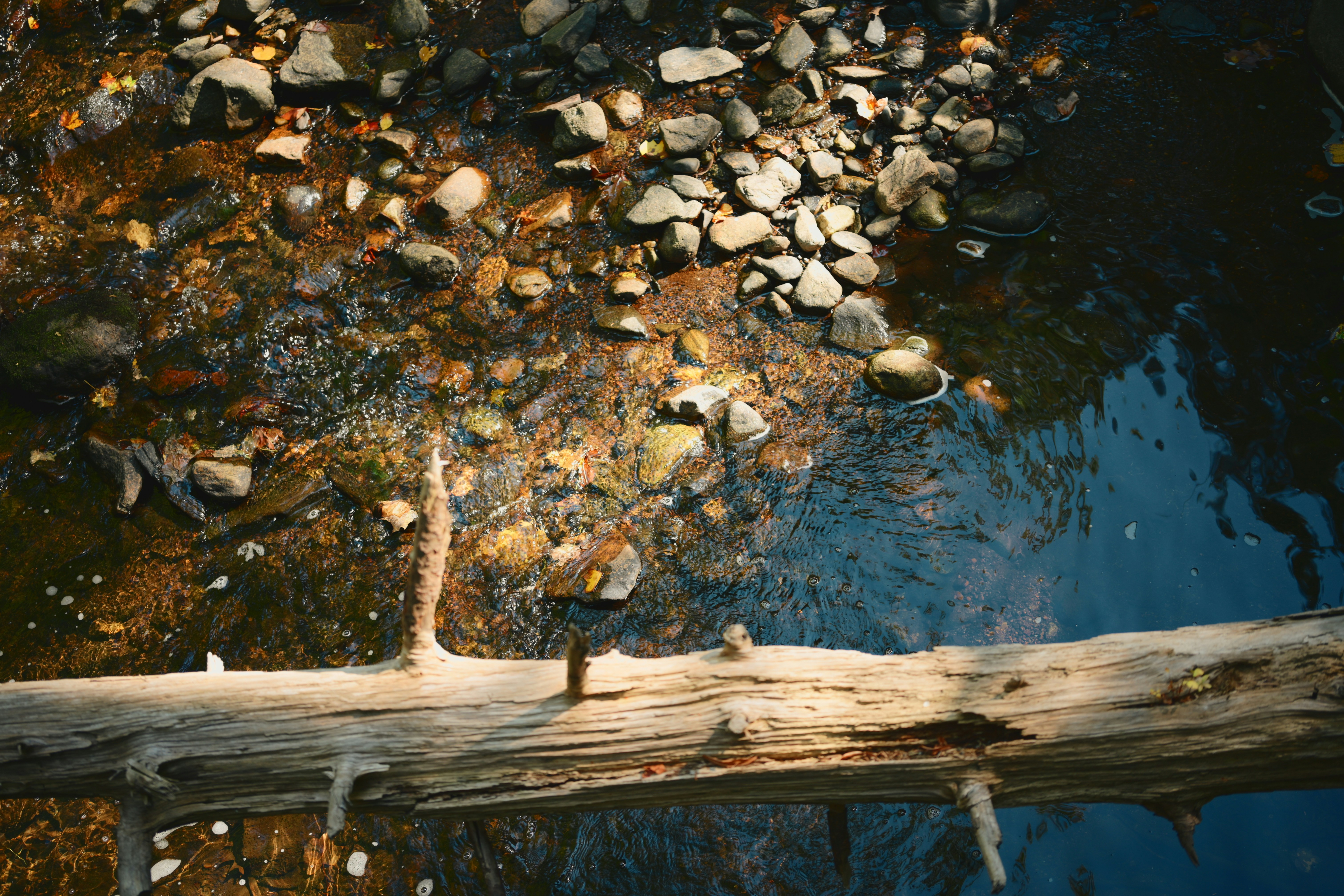 Photo by yi2026