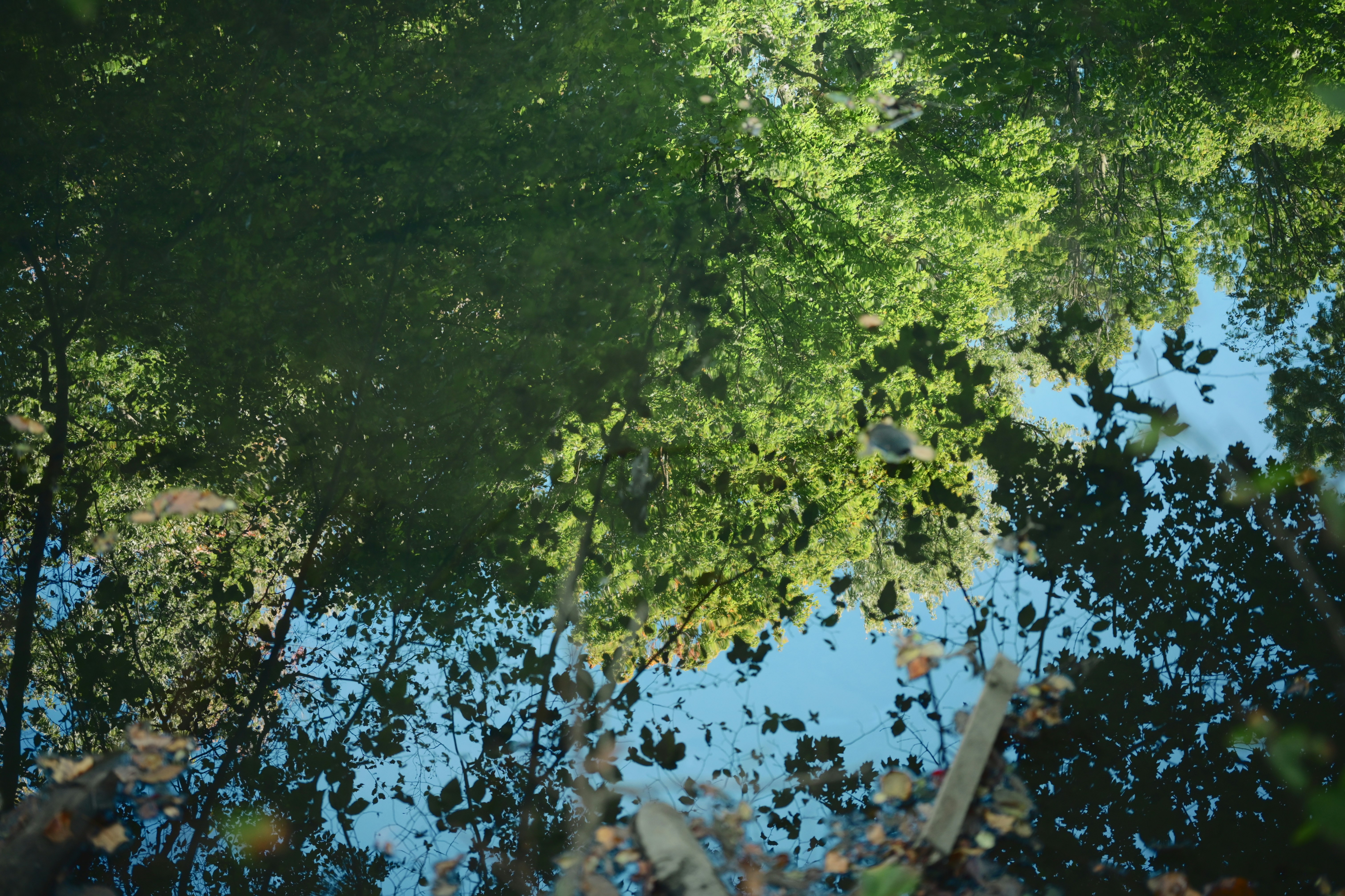Photo by yi2026