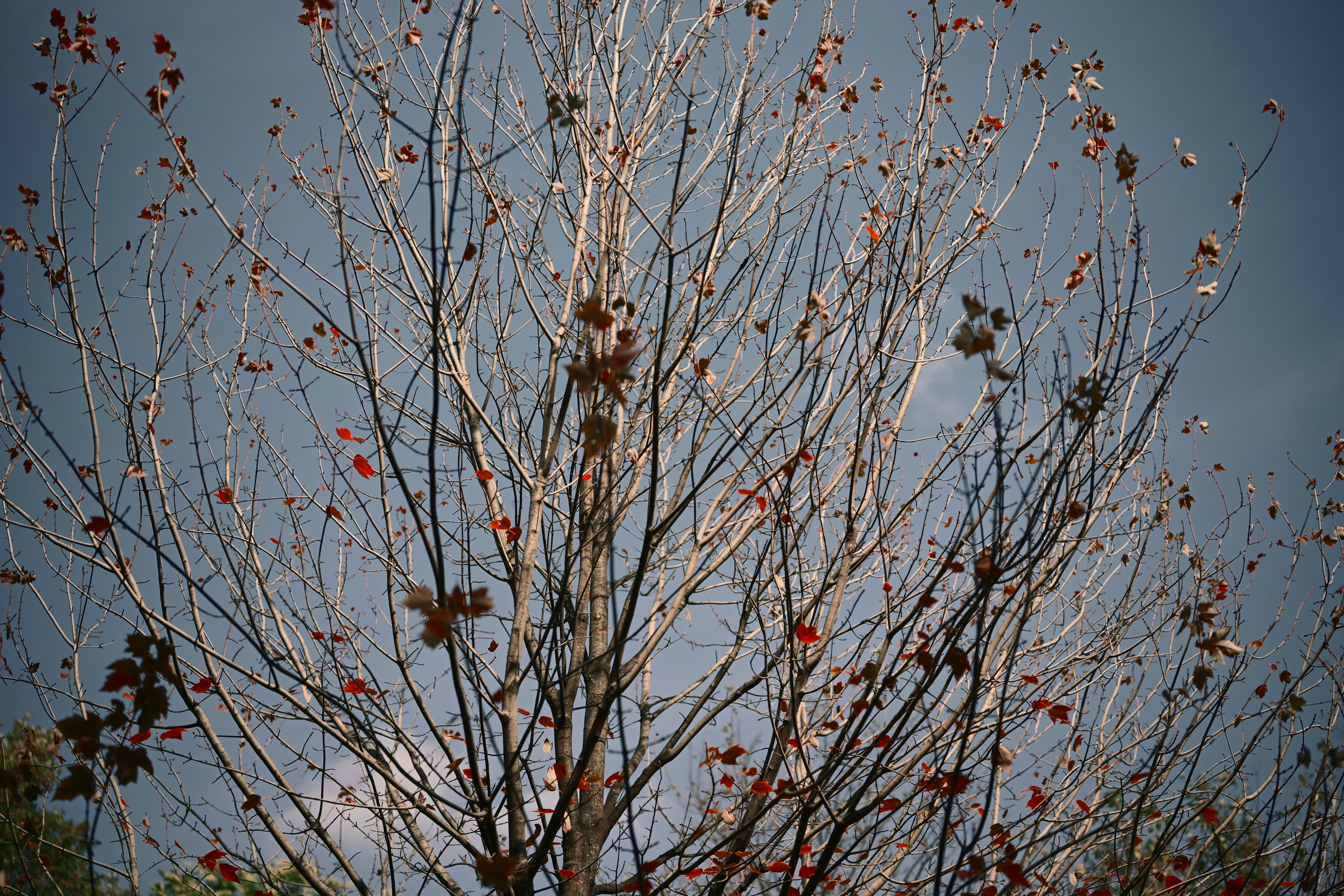 Photo by yi2026