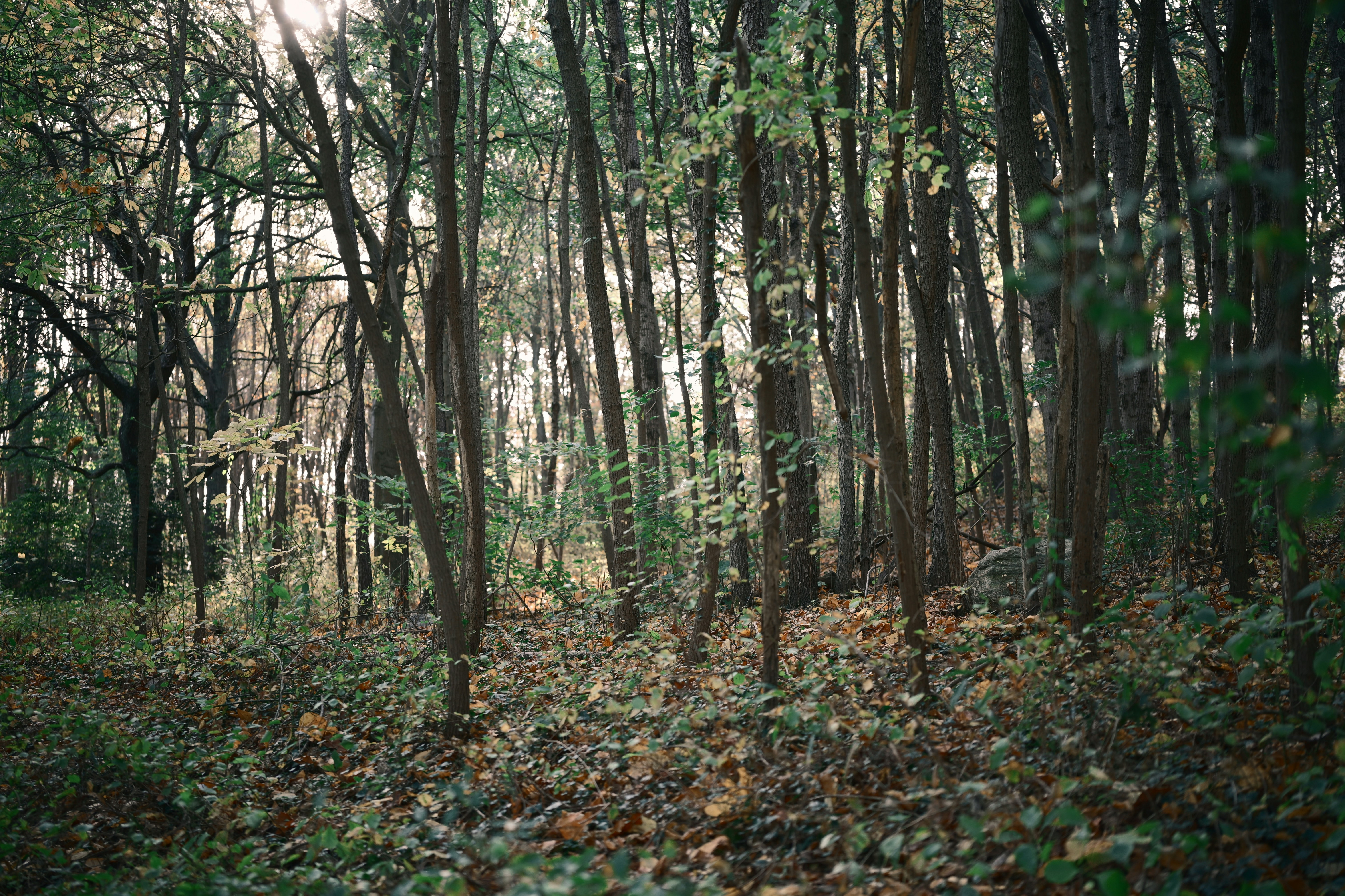 Photo by yi2026