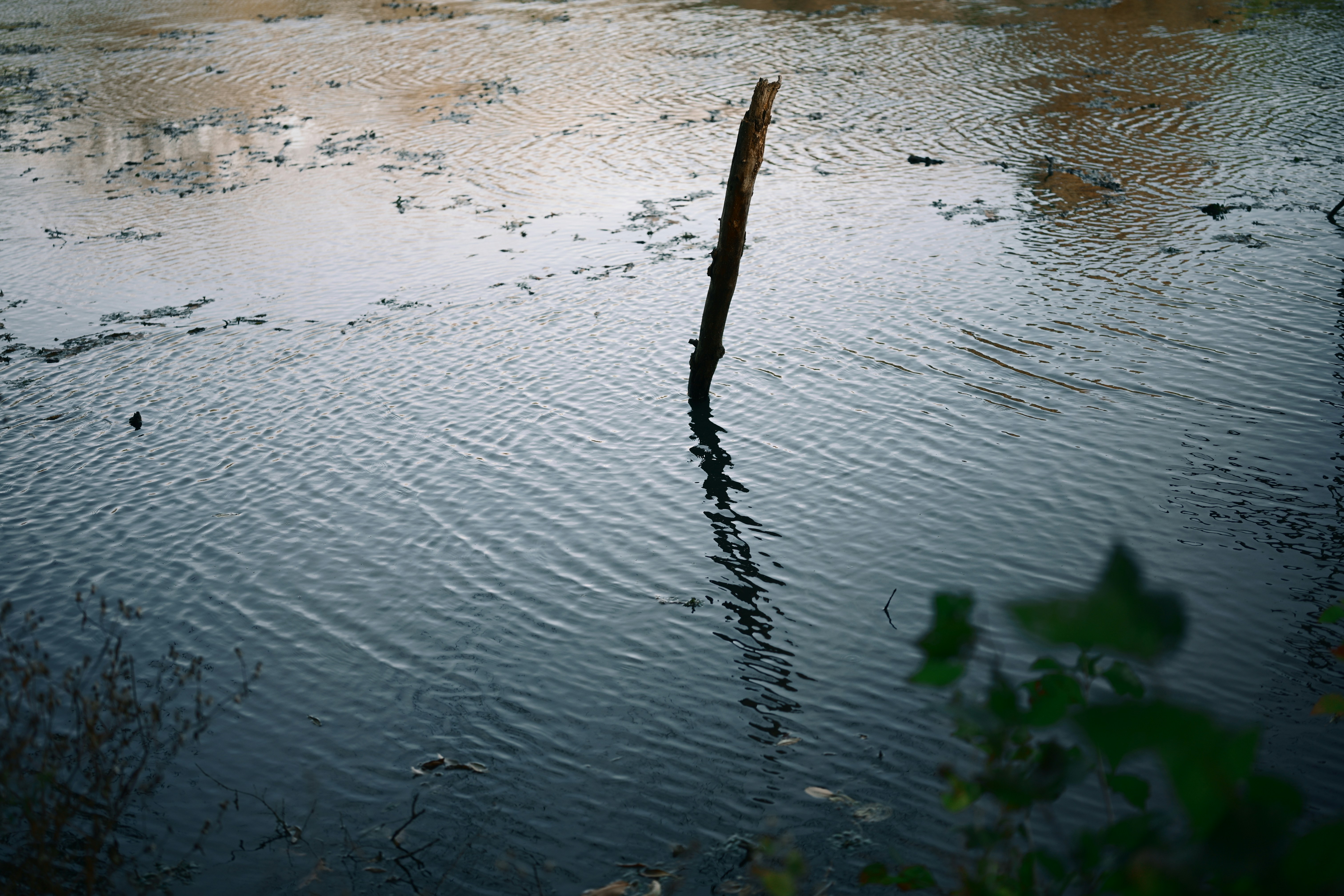 Photo by yi2026