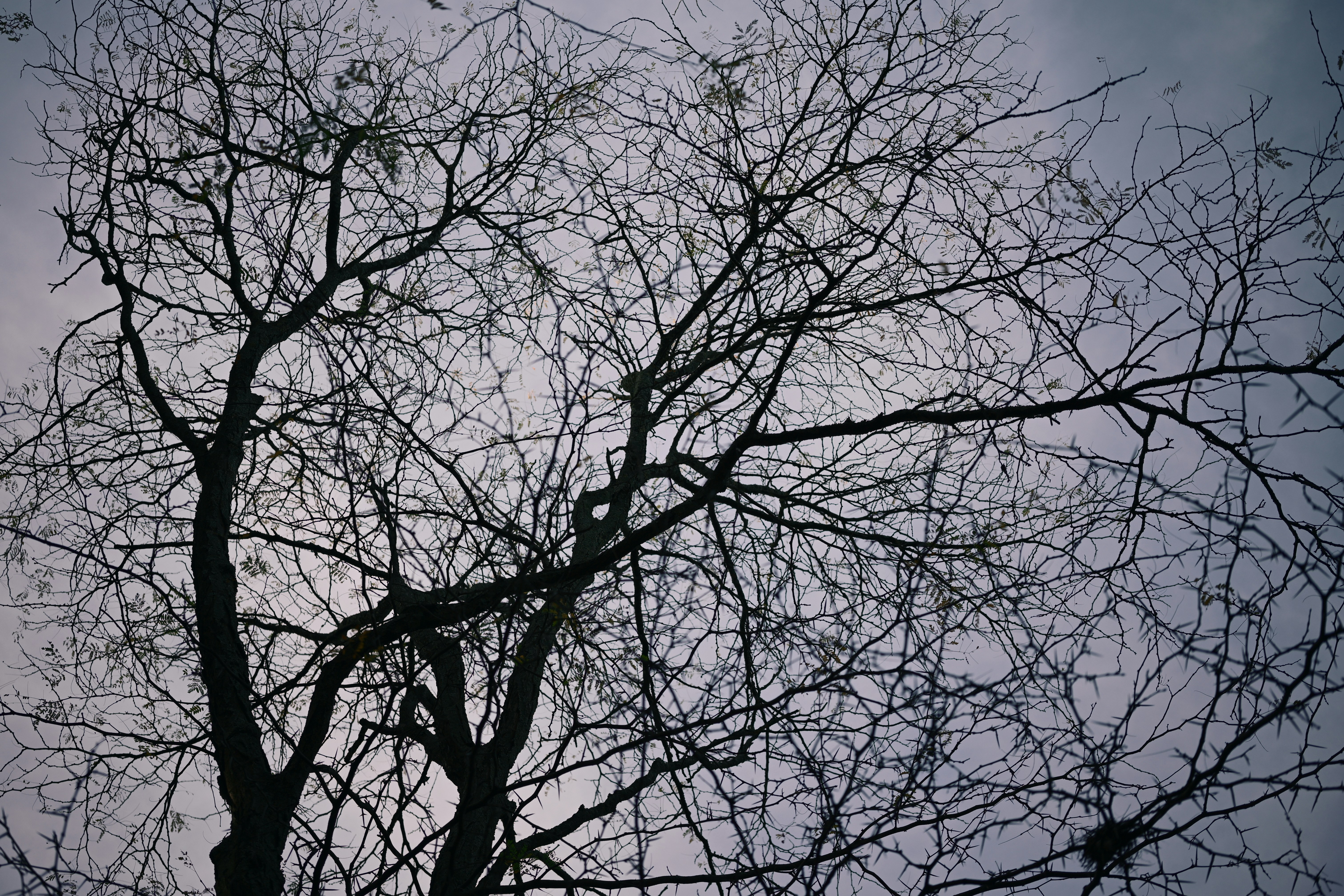 Photo by yi2026