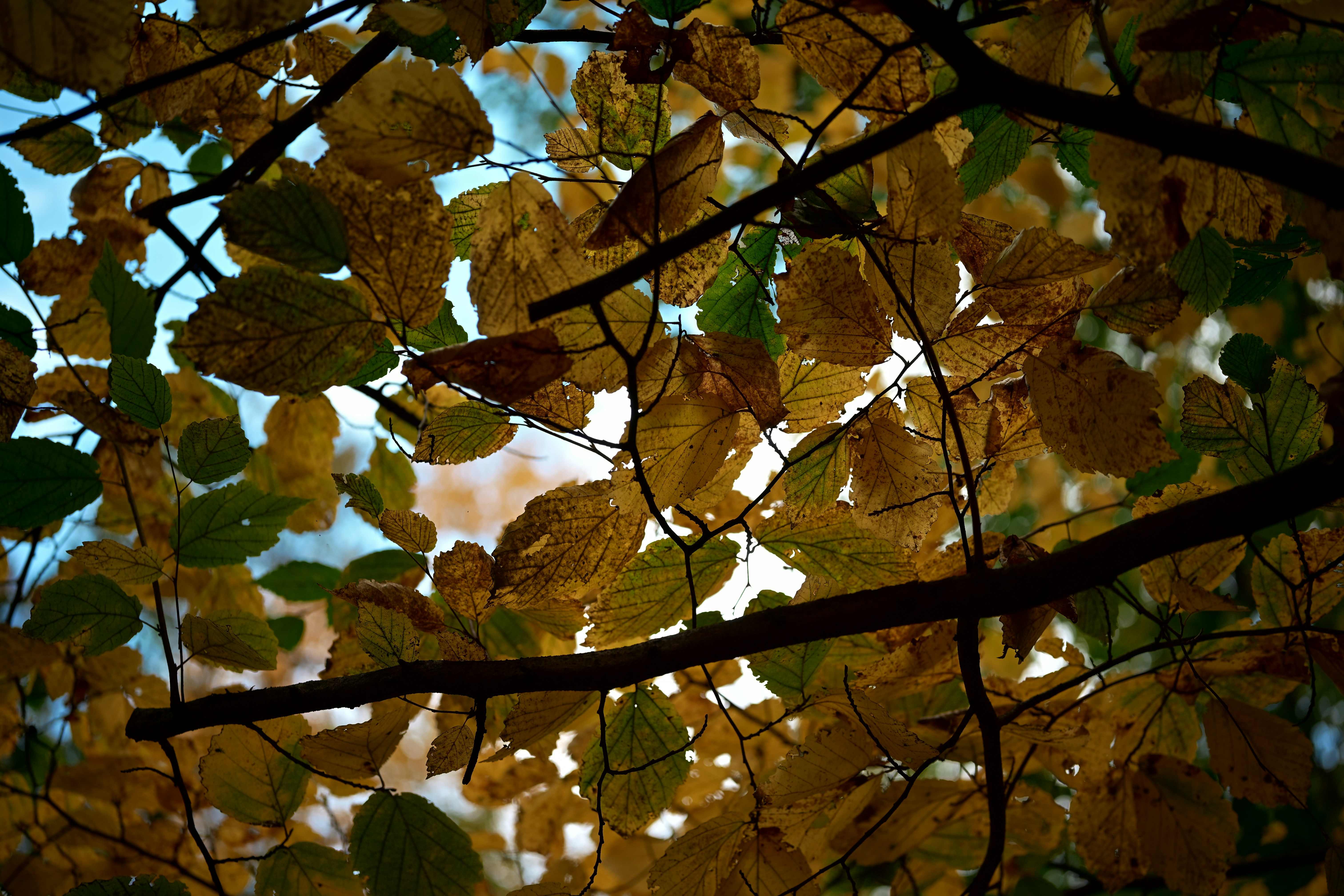 Photo by yi2026