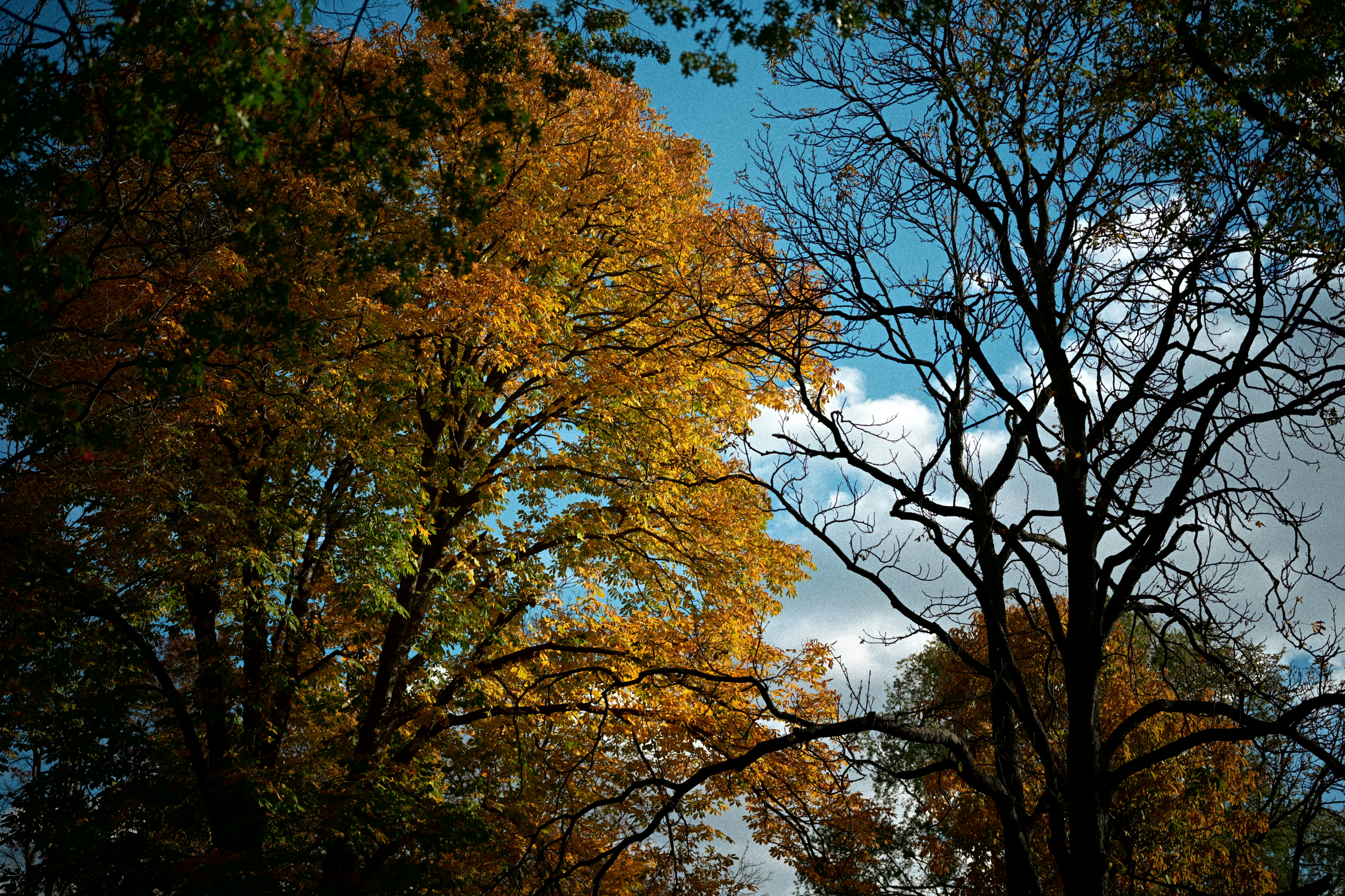 Photo by yi2026
