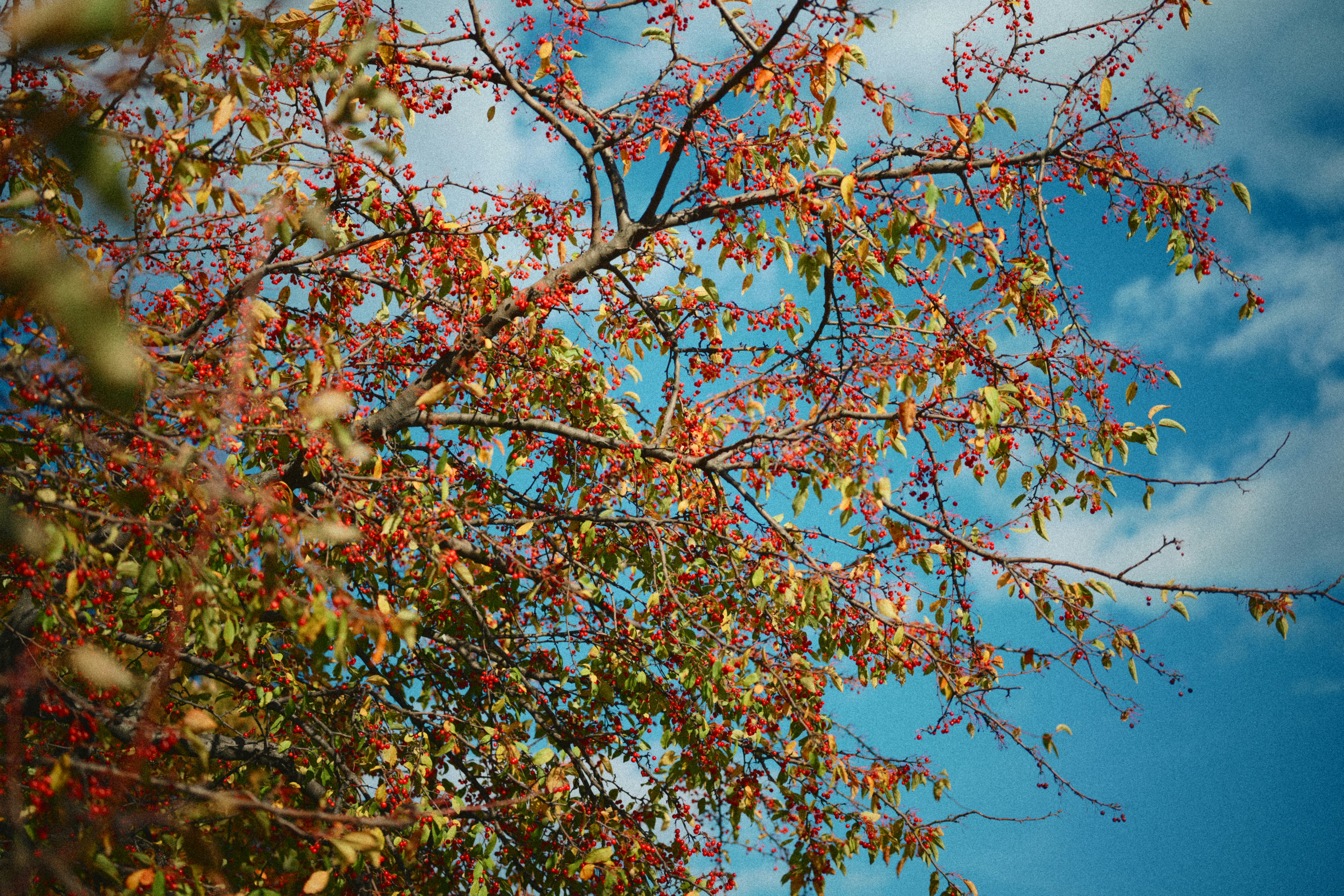 Photo by yi2026