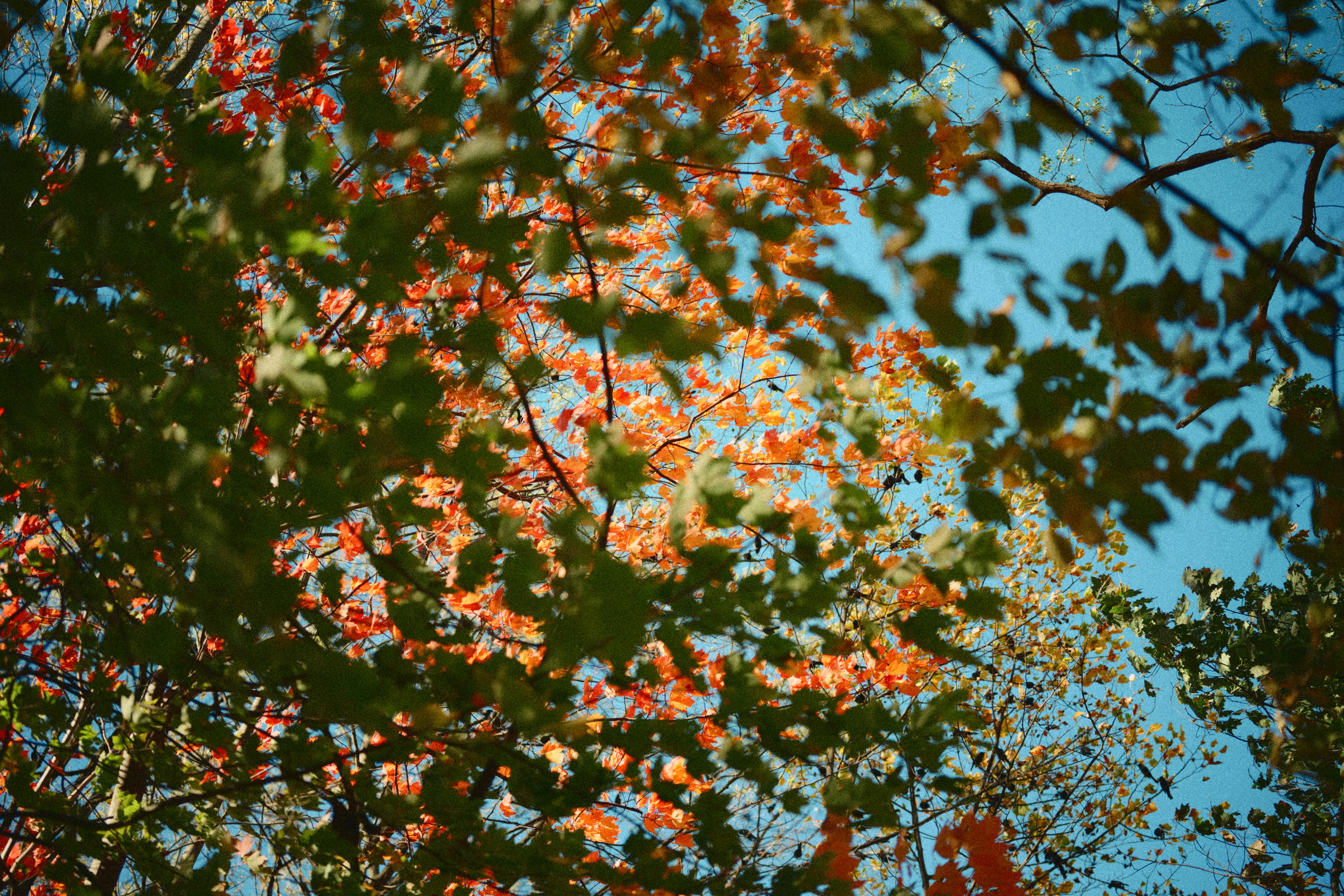 Photo by yi2026