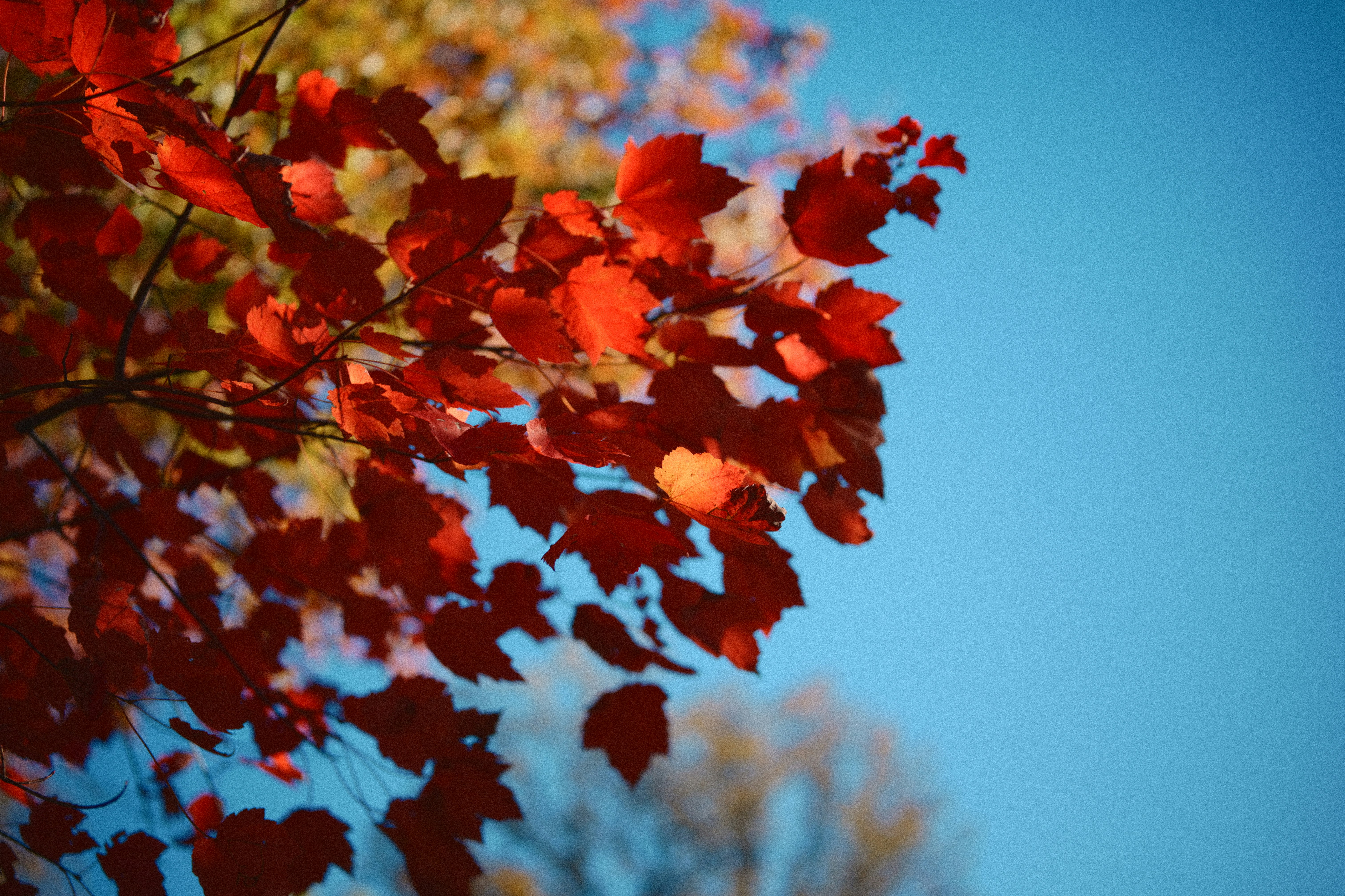 Photo by yi2026