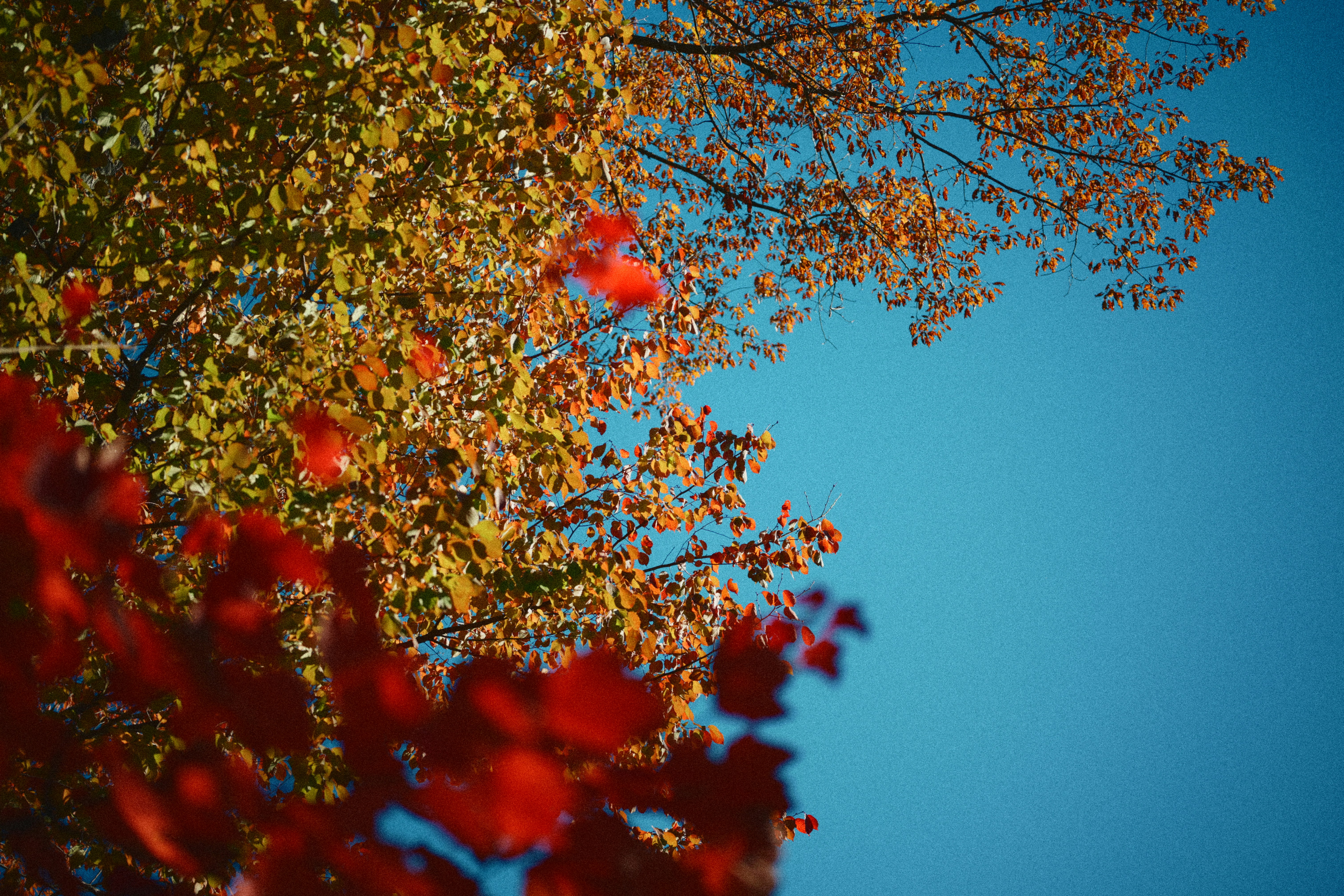 Photo by yi2026