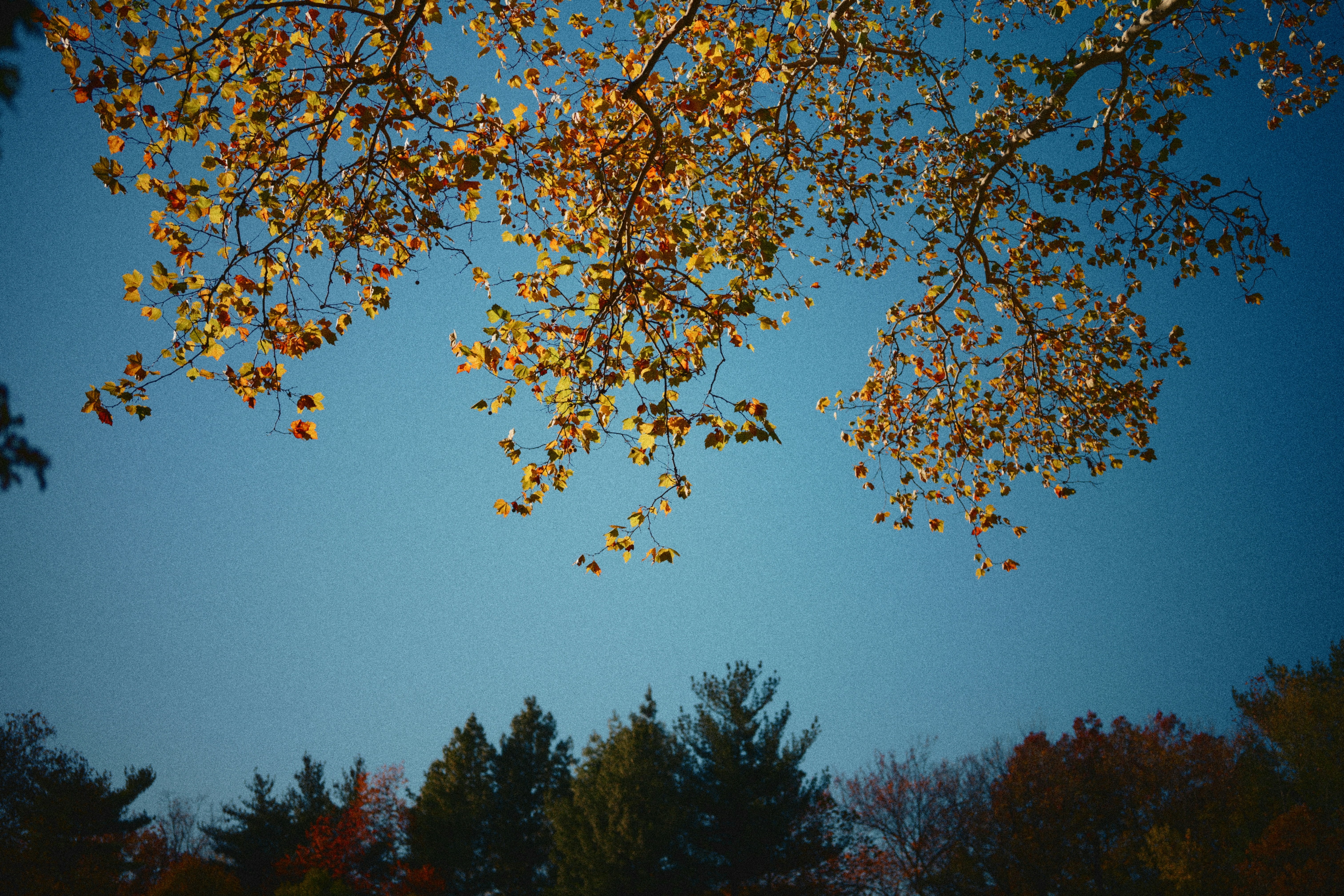 Photo by yi2026