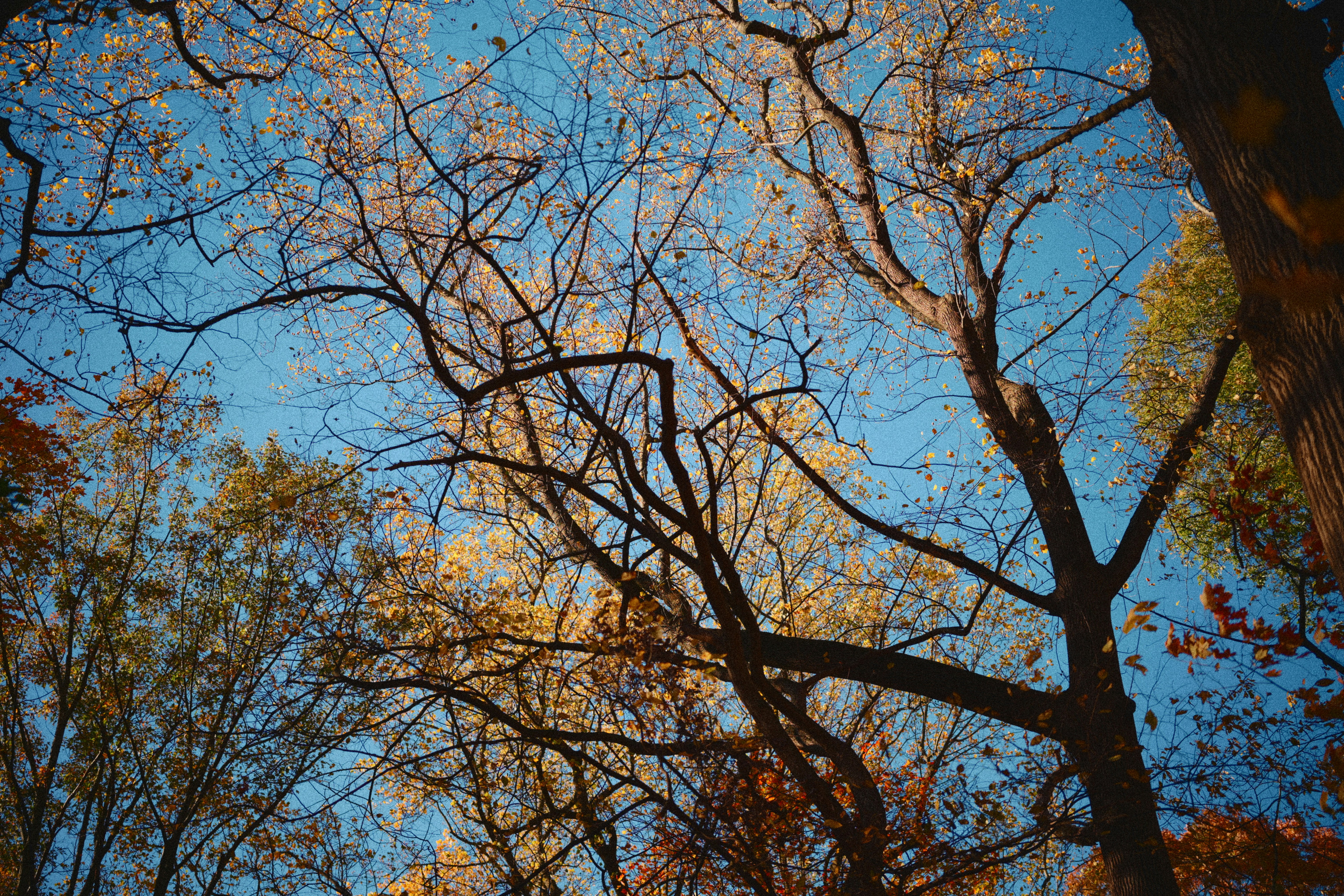 Photo by yi2026
