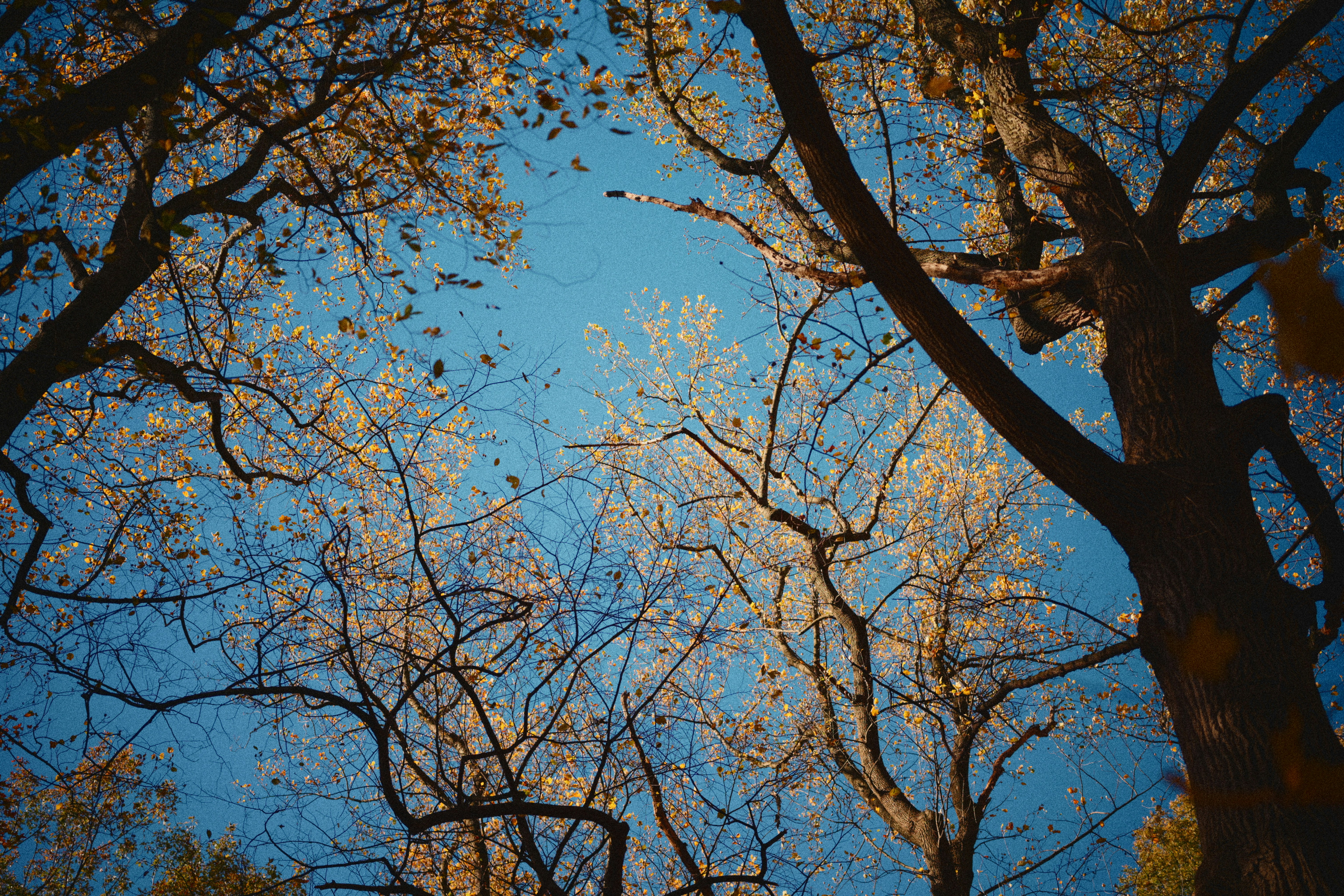 Photo by yi2026