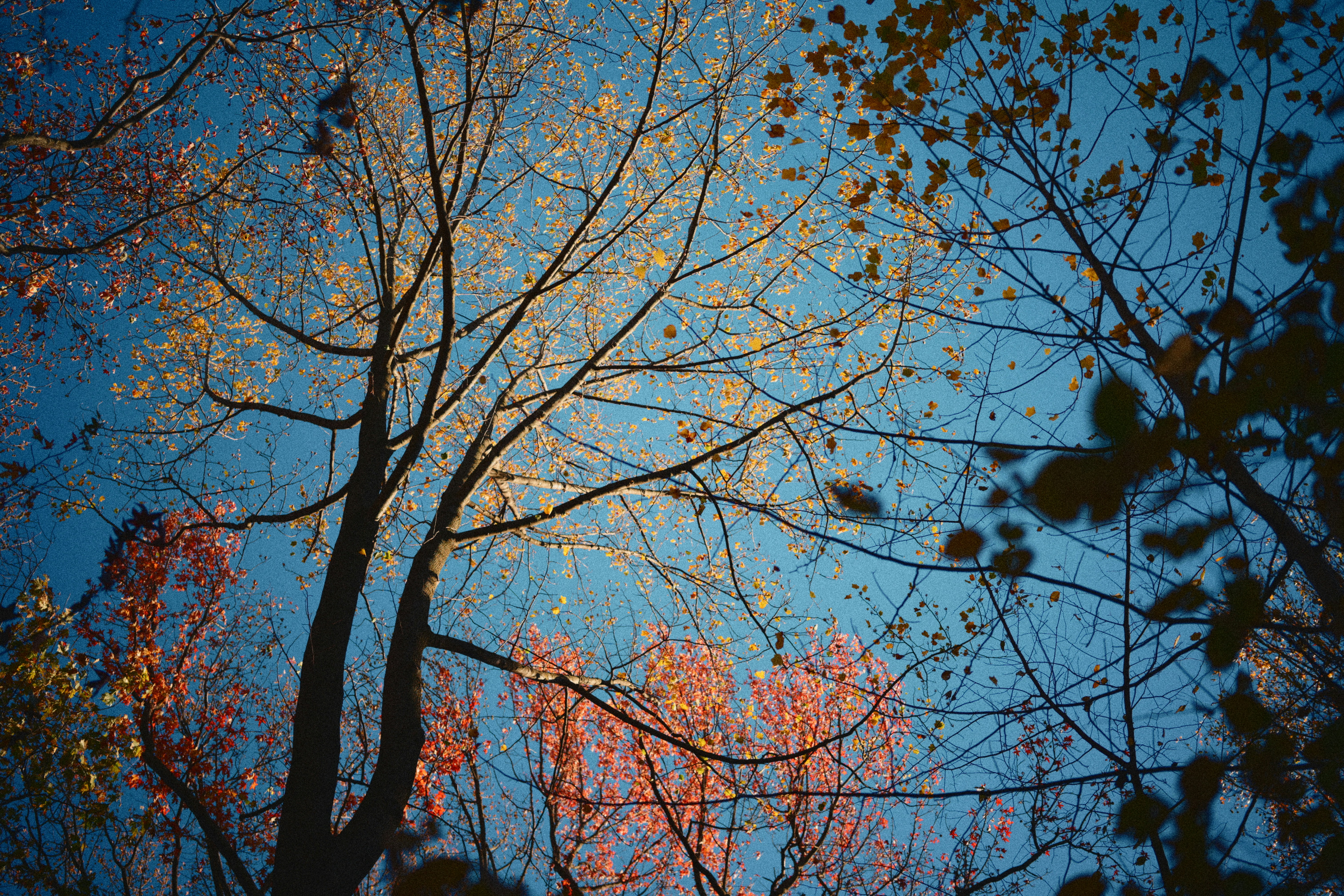 Photo by yi2026