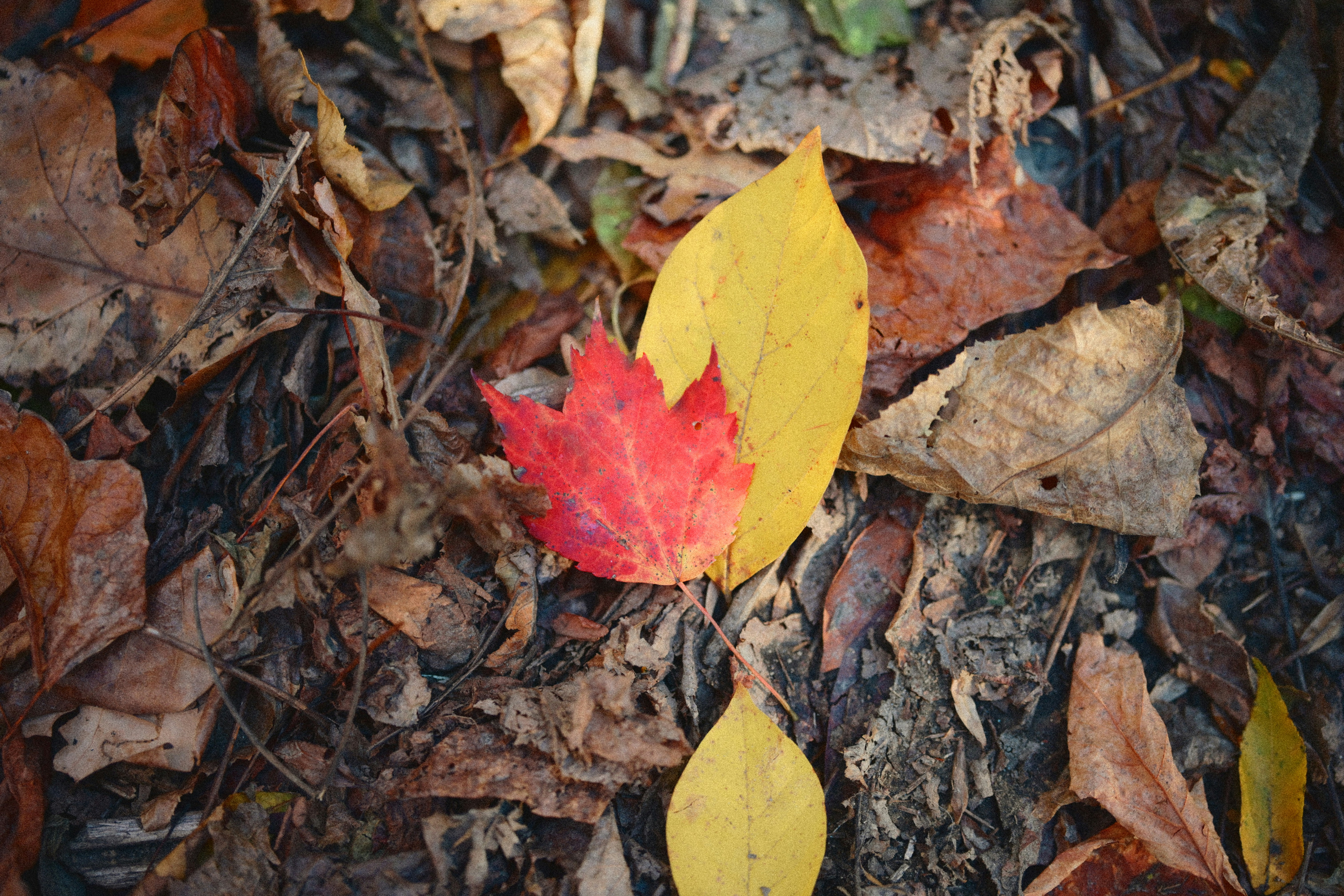 Photo by yi2026