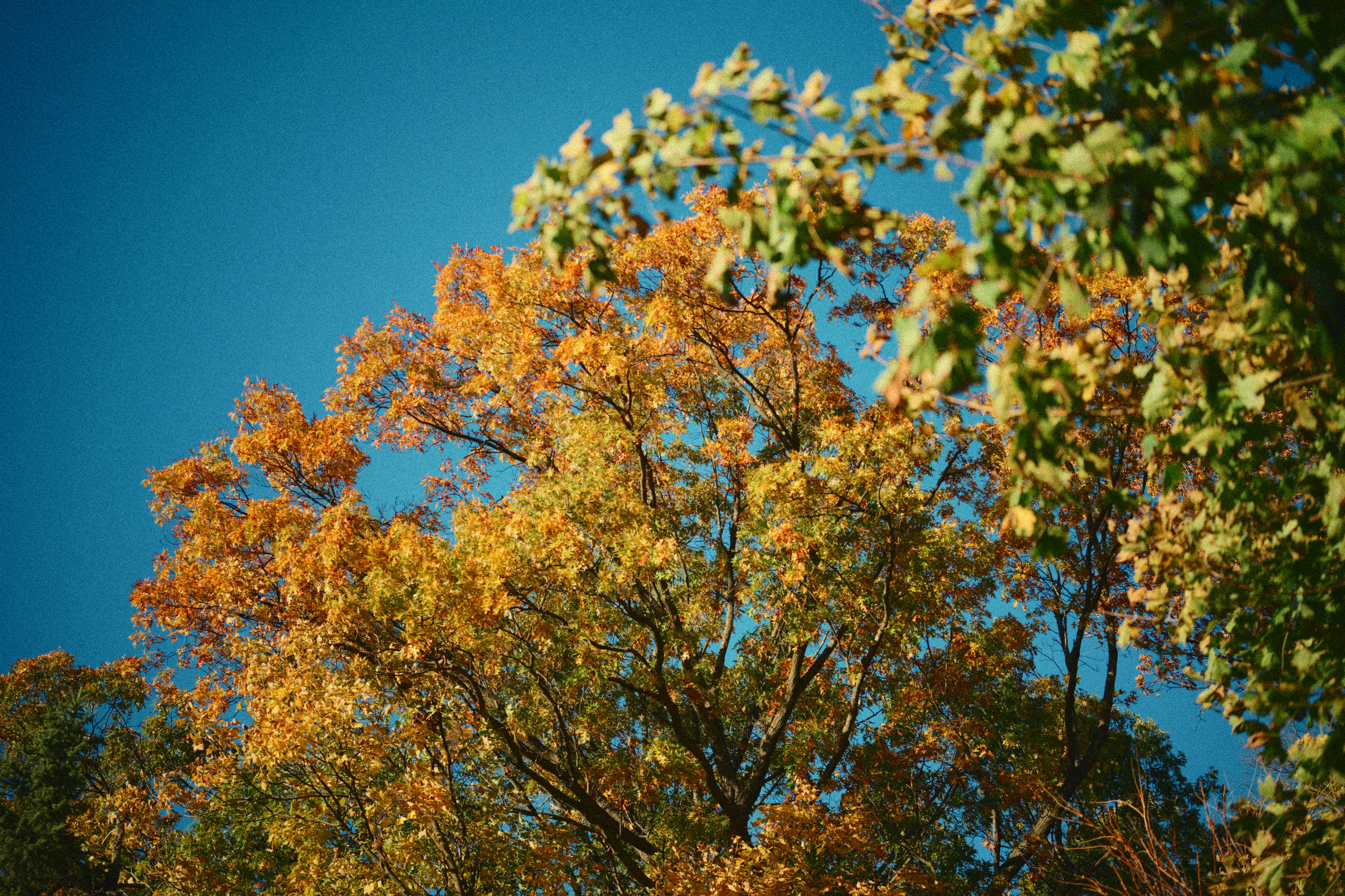 Photo by yi2026