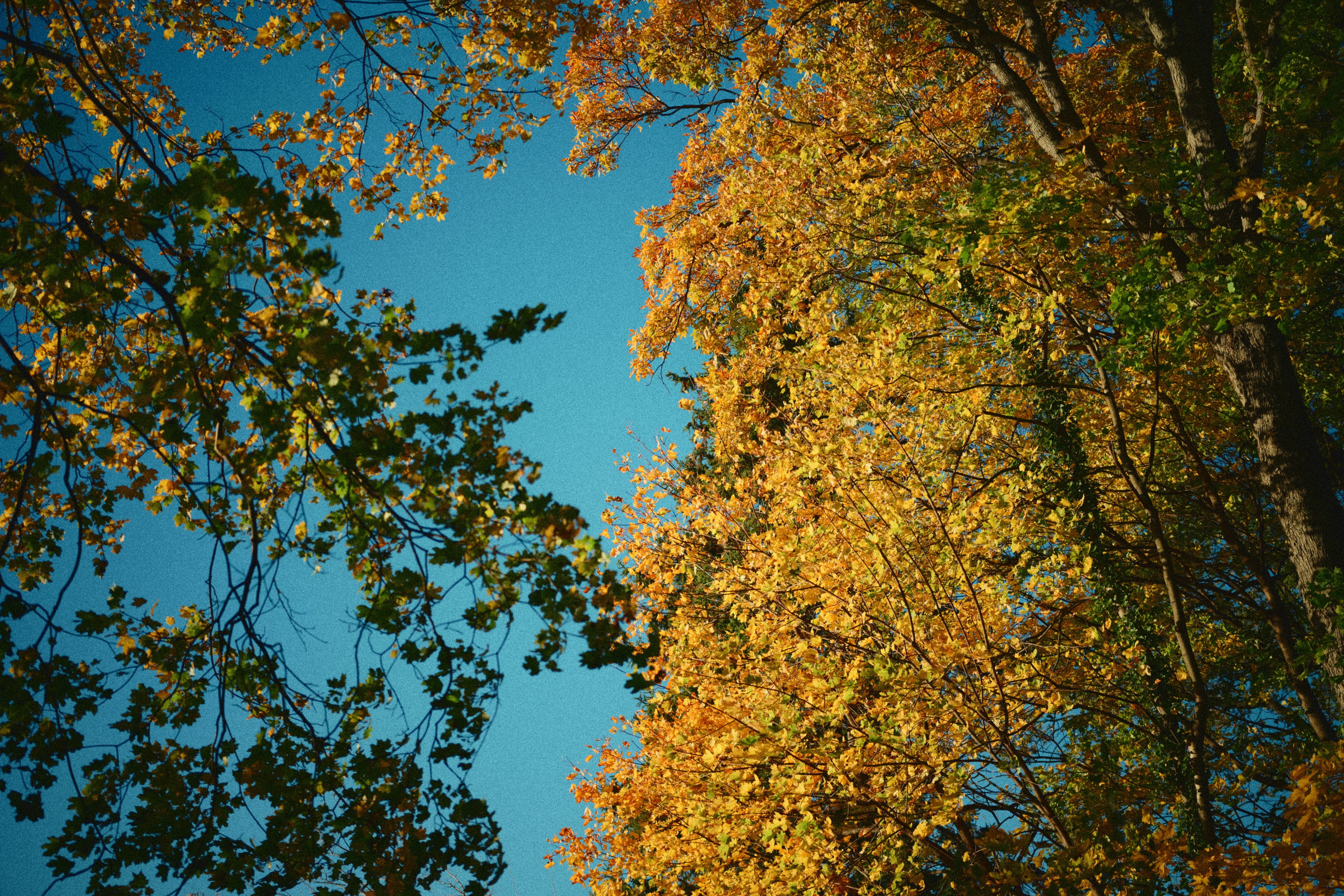 Photo by yi2026