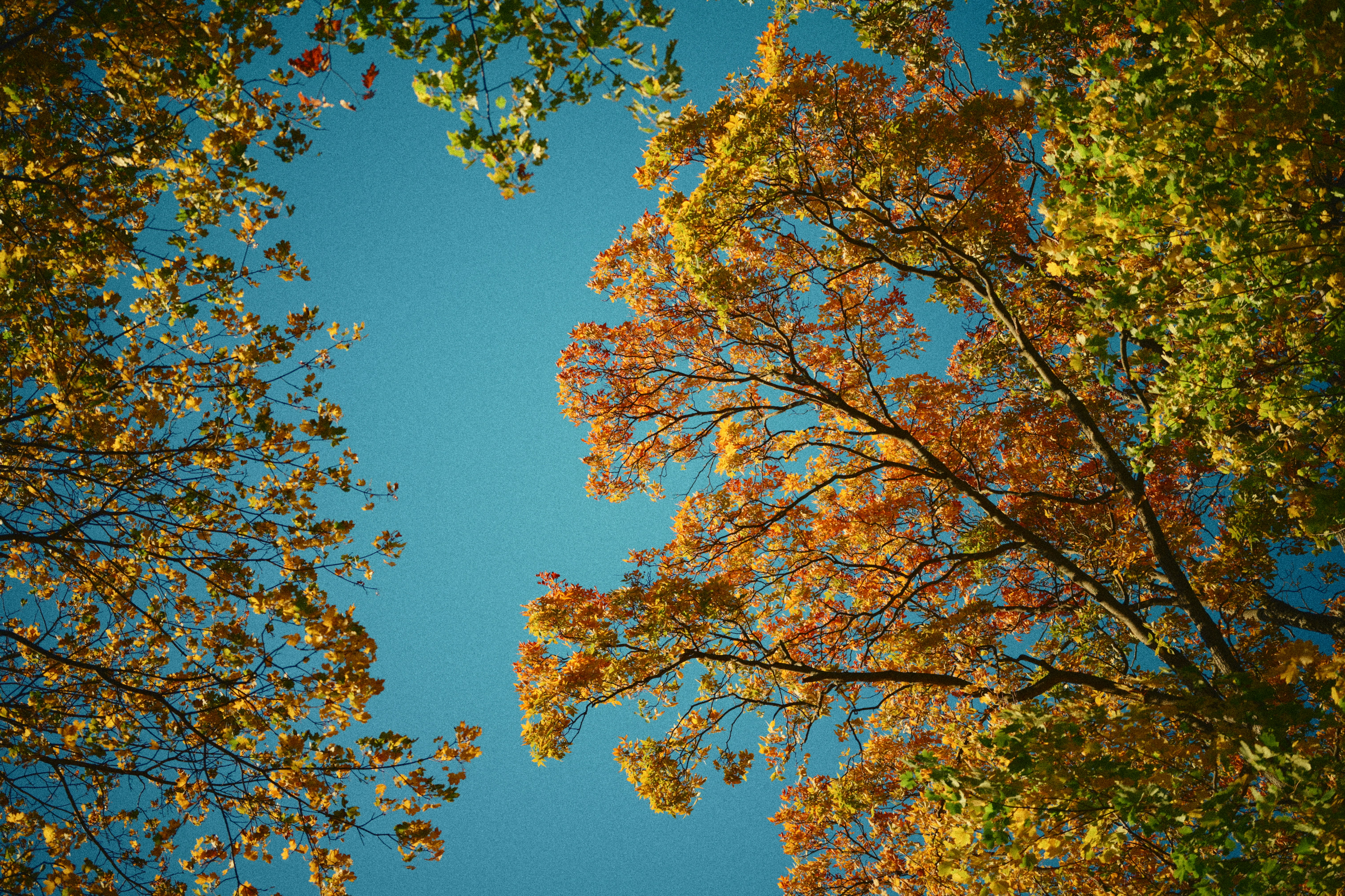 Photo by yi2026