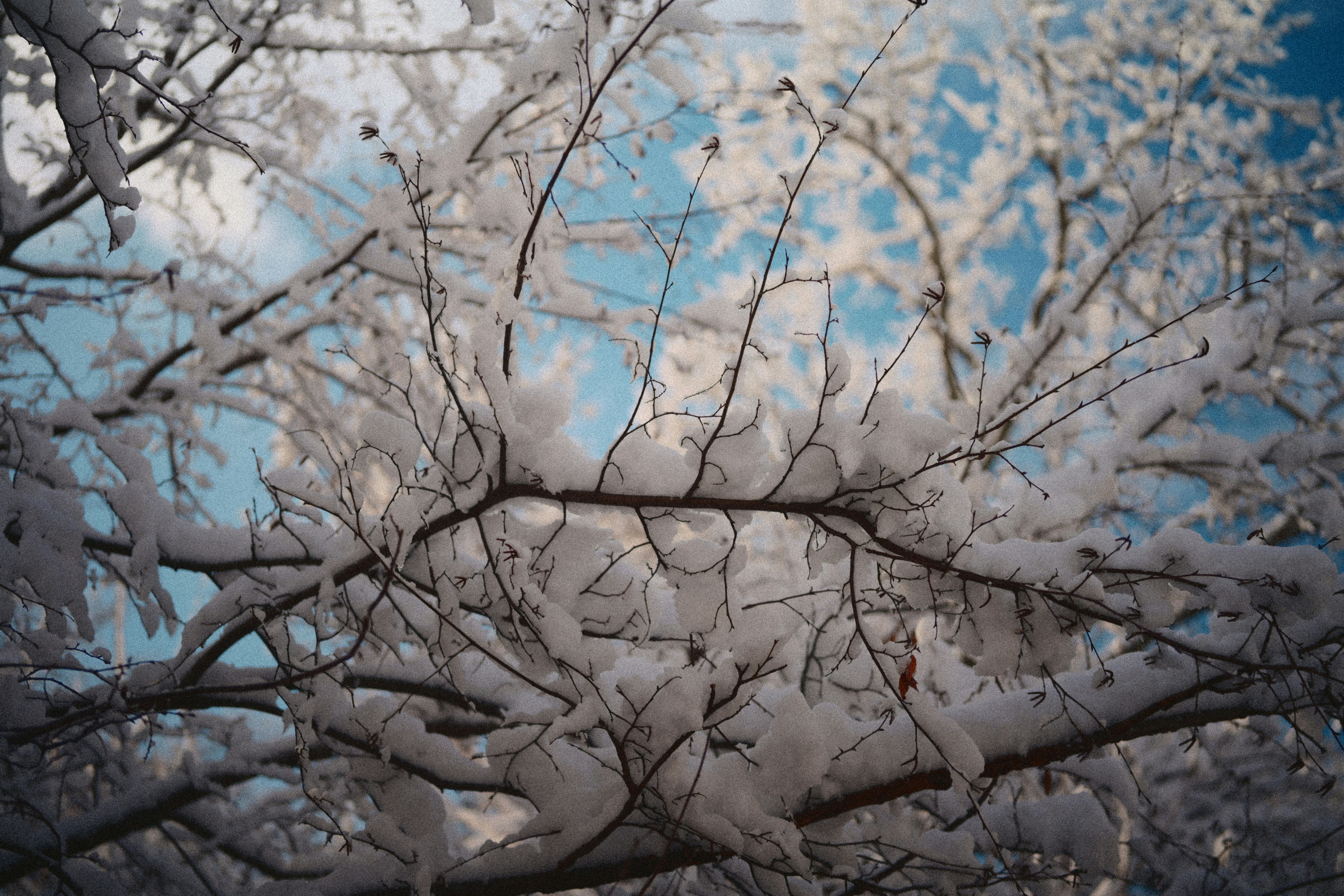 Photo by yi2026