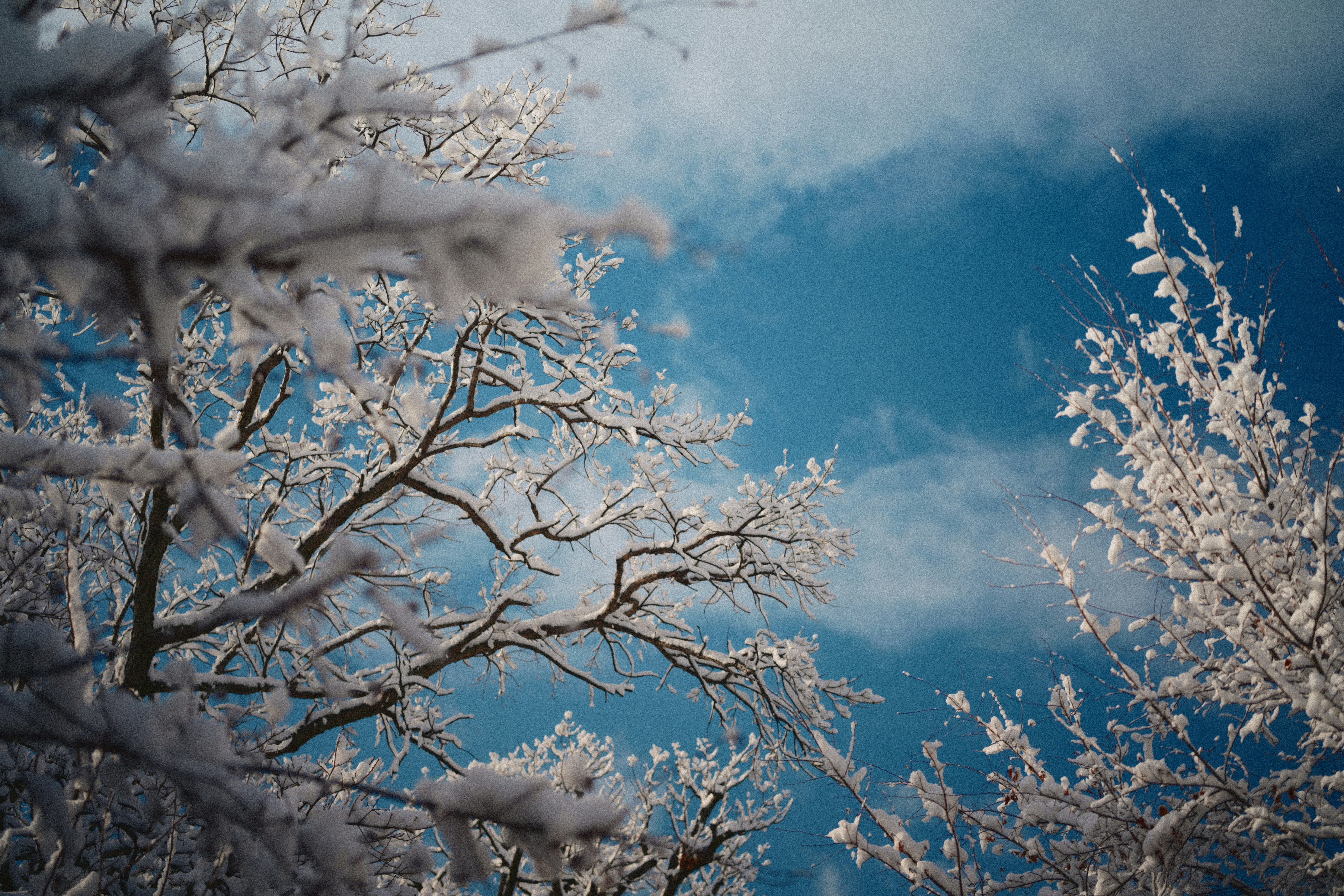 Photo by yi2026