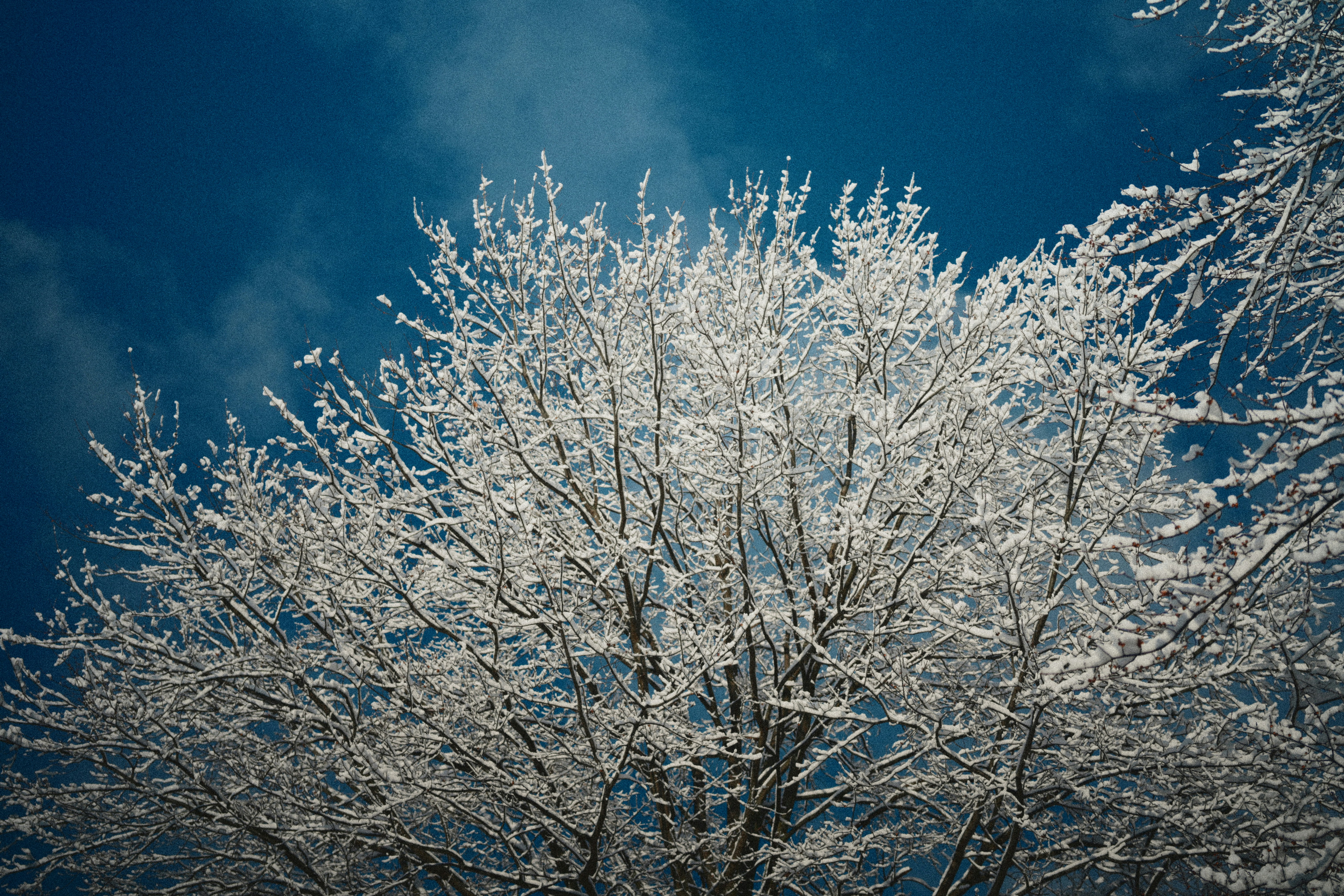 Photo by yi2026
