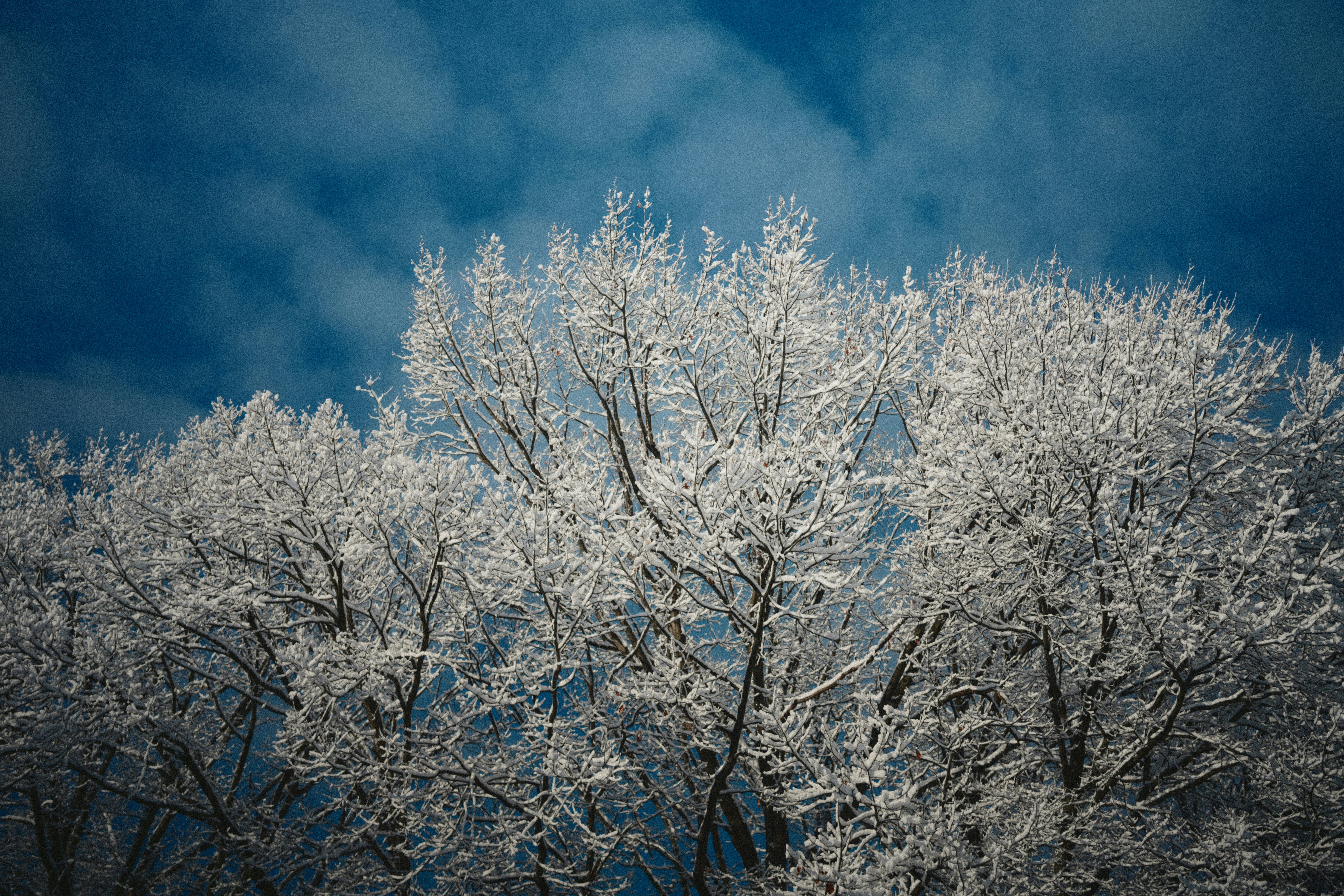 Photo by yi2026