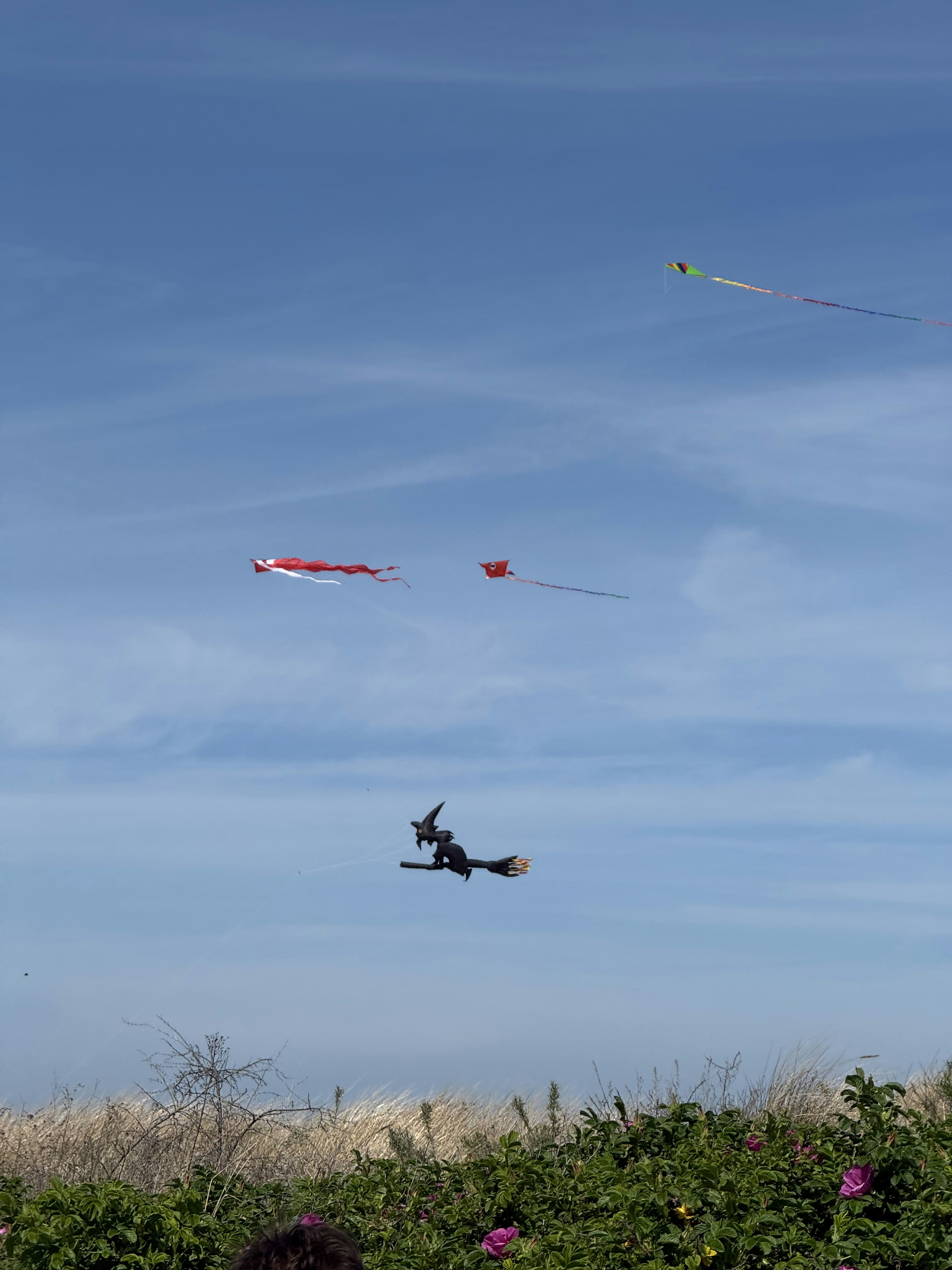 Witch kite and colorful kites flying against a blue sky.