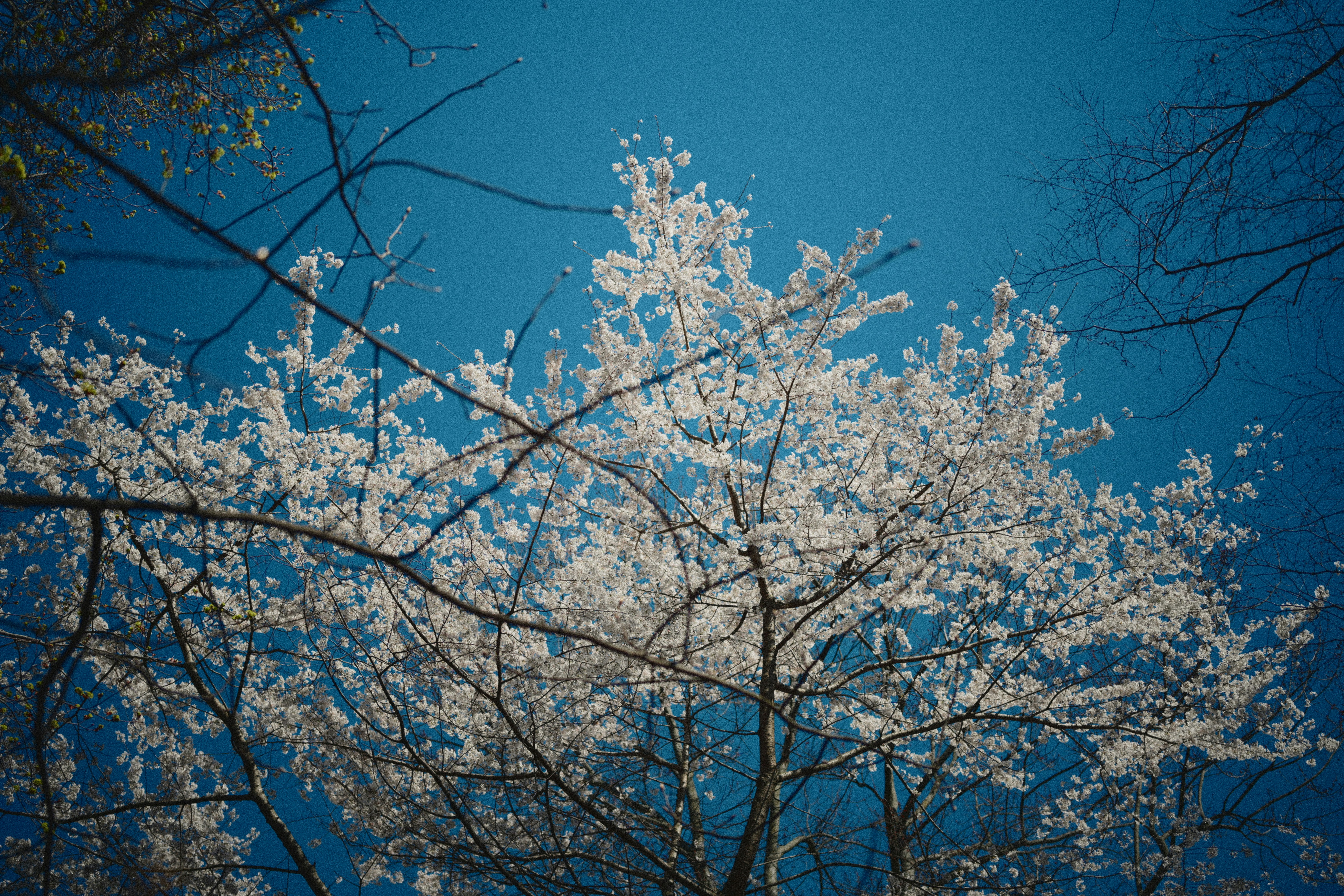 Photo by yi2026