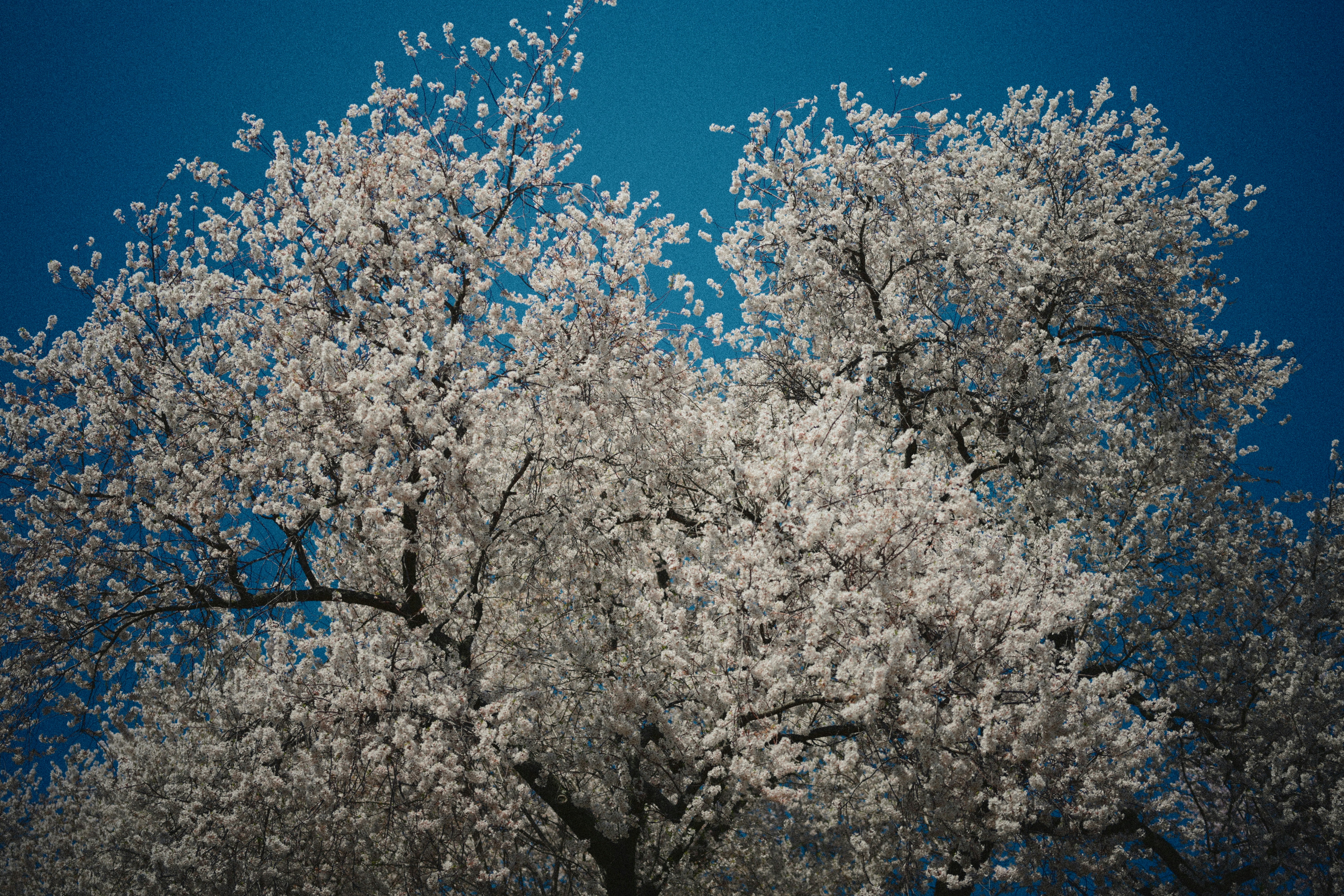 Photo by yi2026