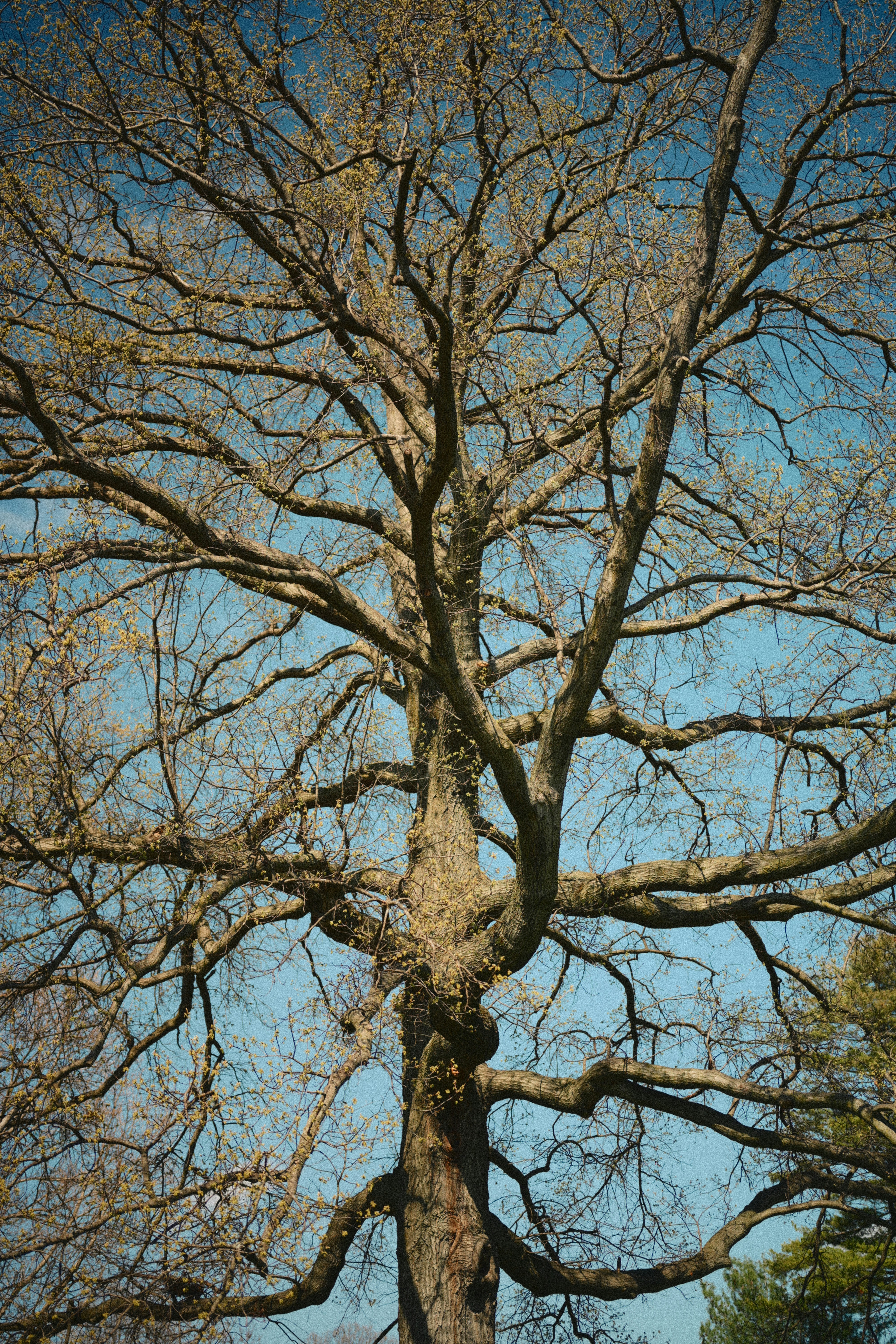 Photo by yi2026