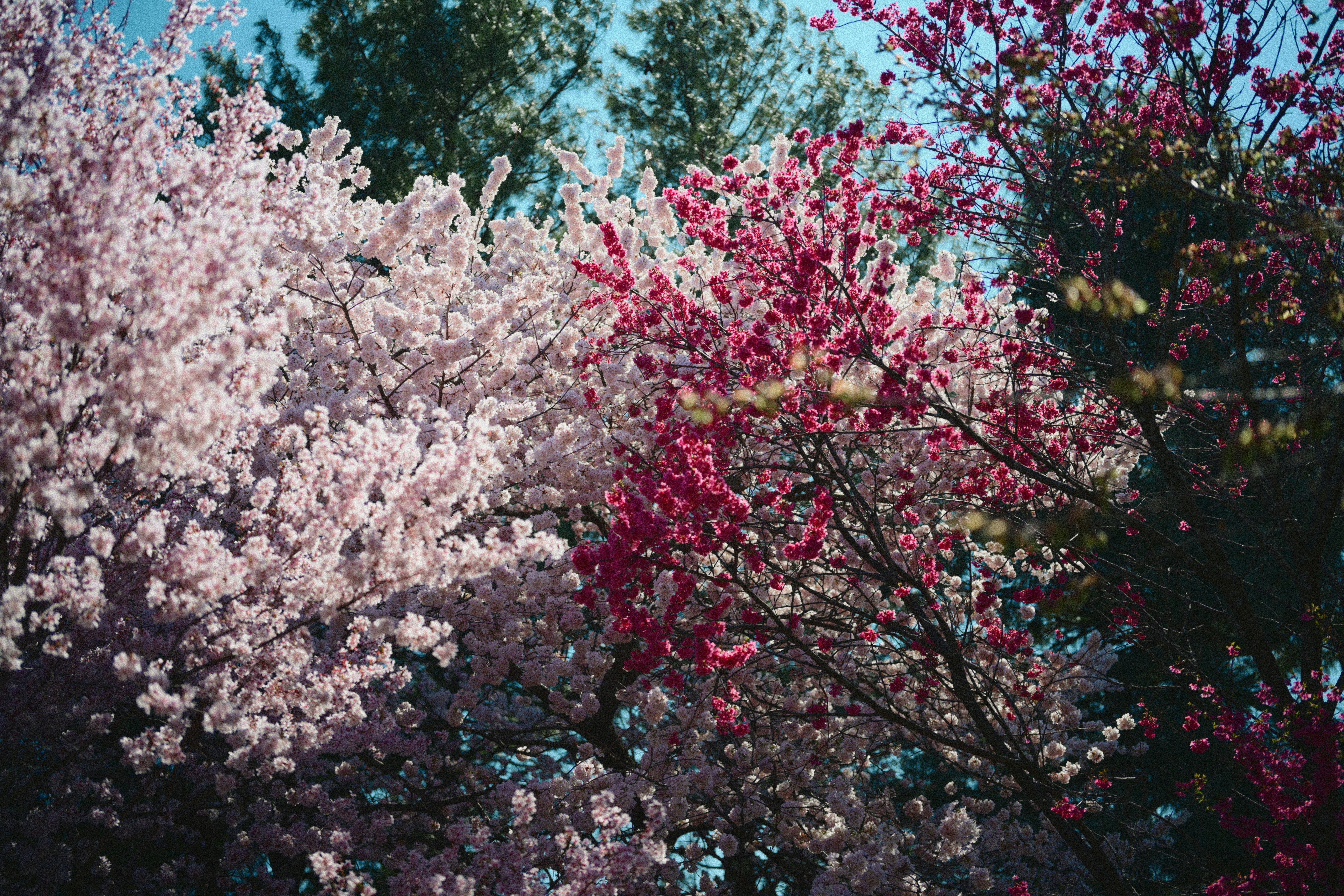 Photo by yi2026