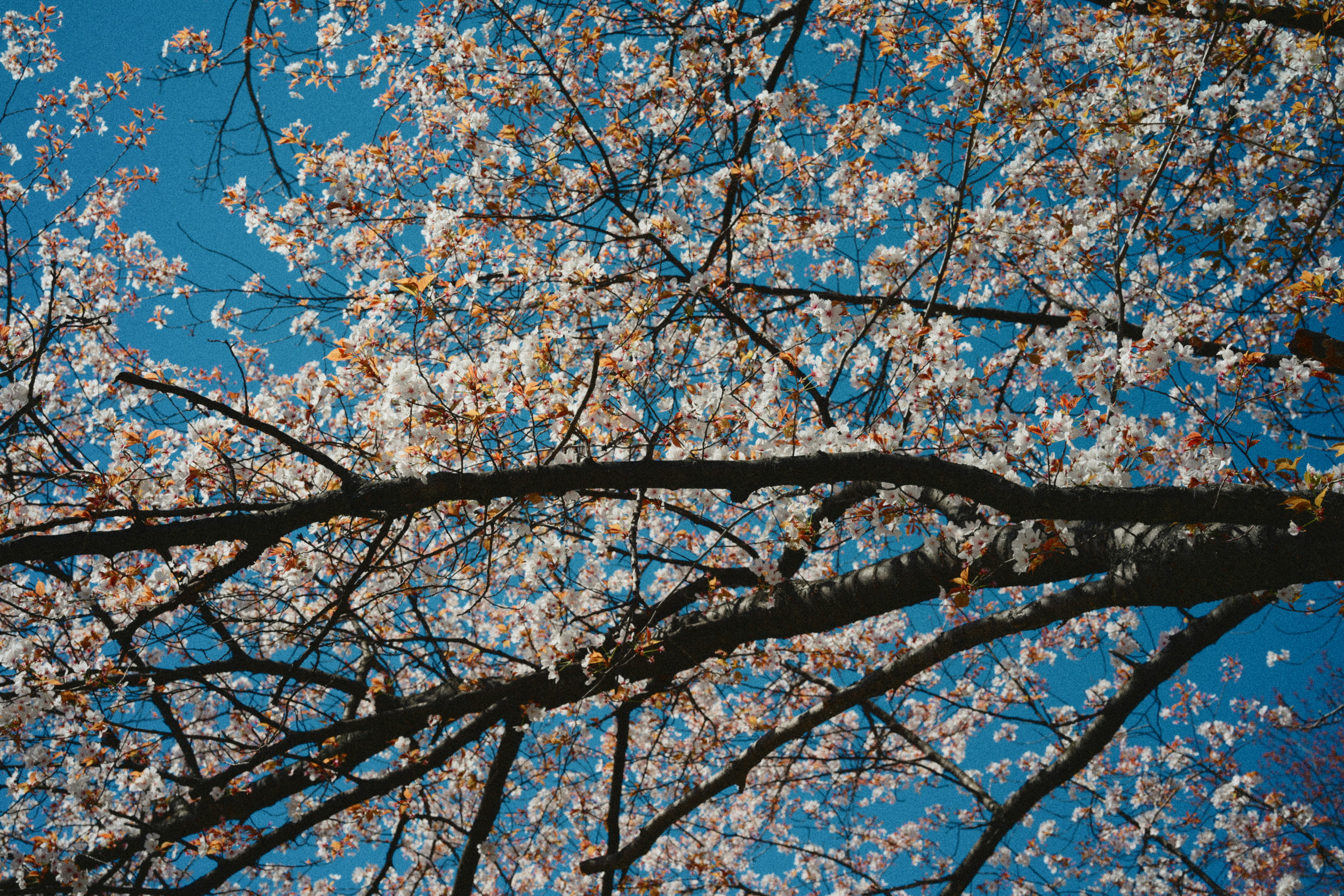 Photo by yi2026