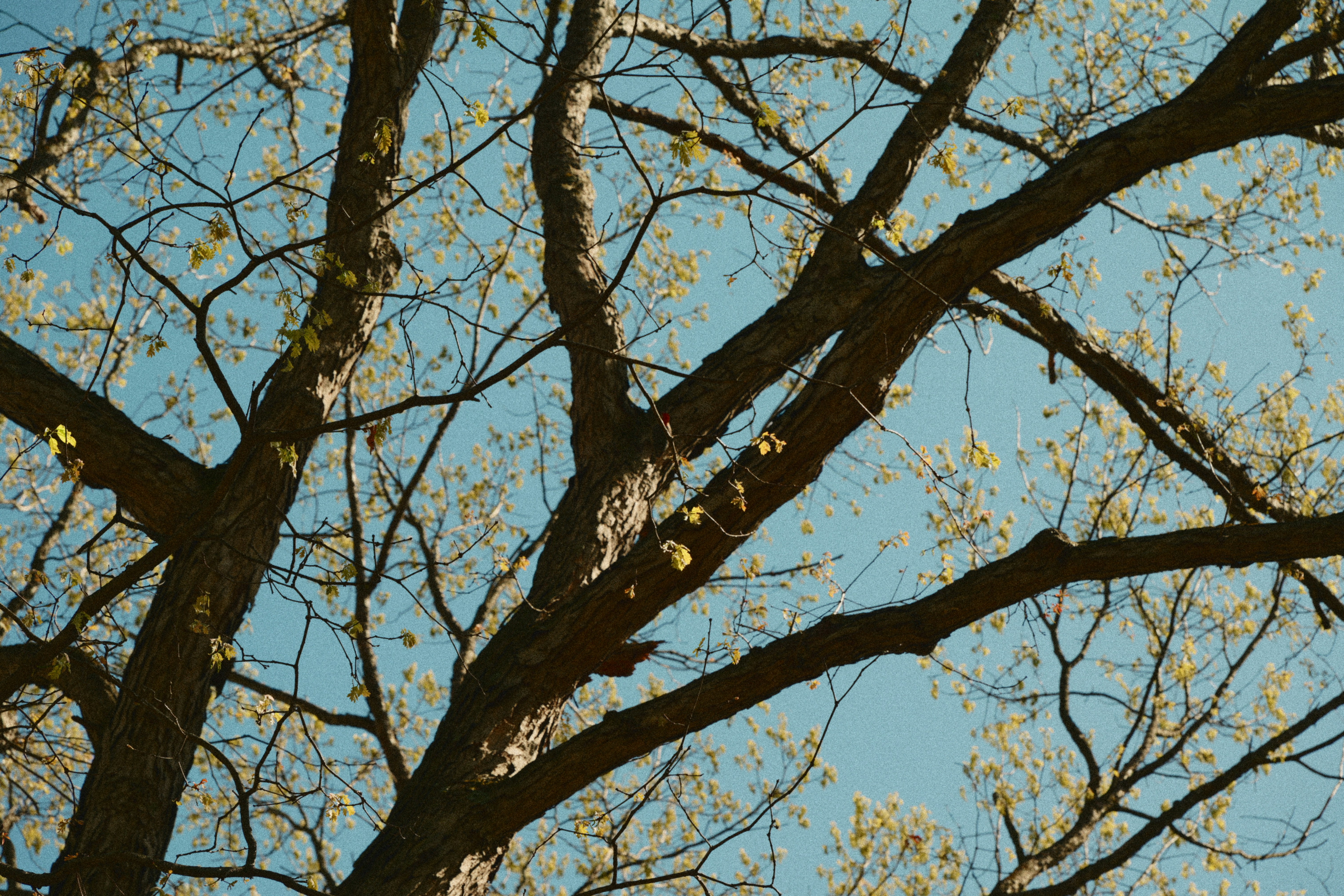 Photo by yi2026