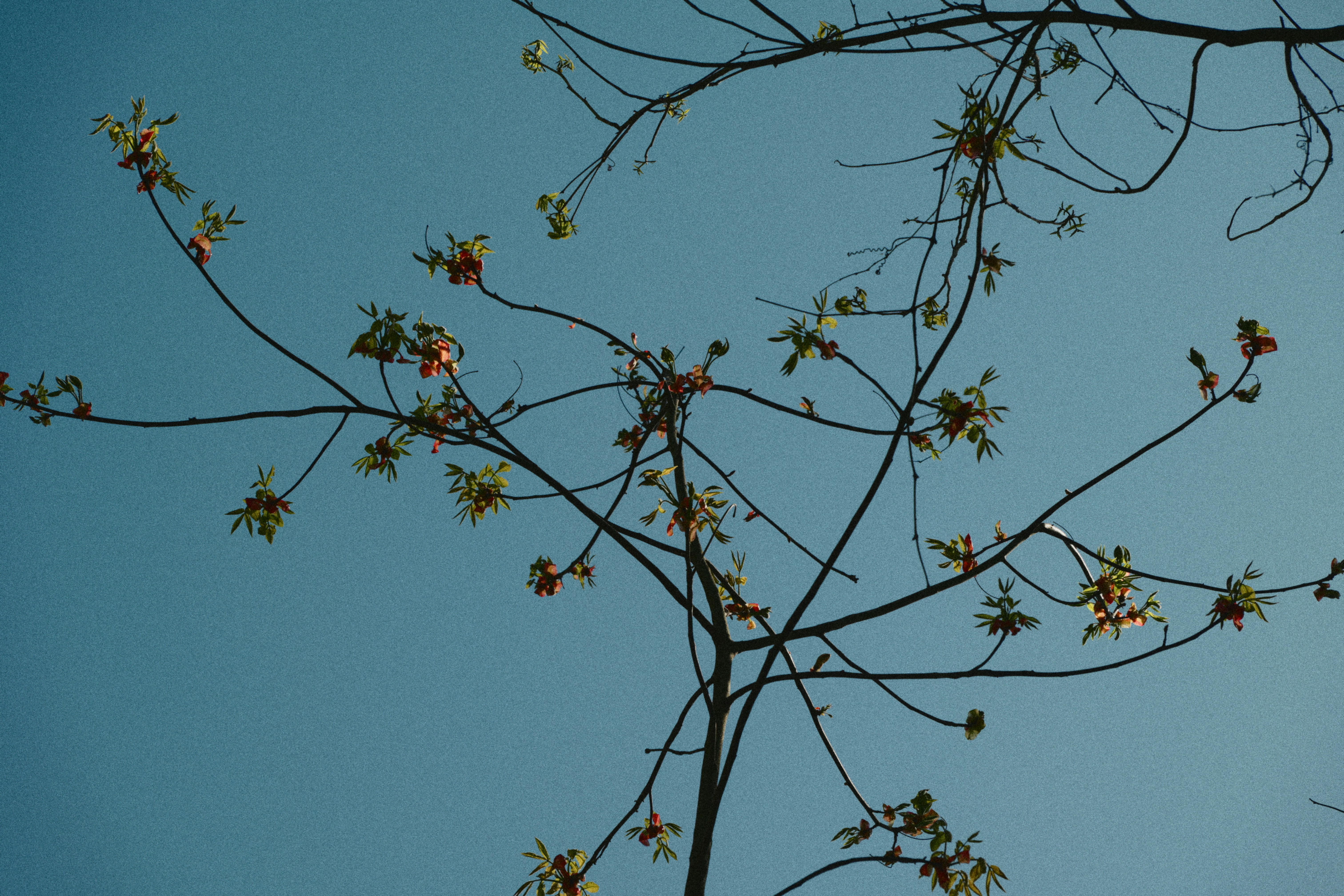 Photo by yi2026