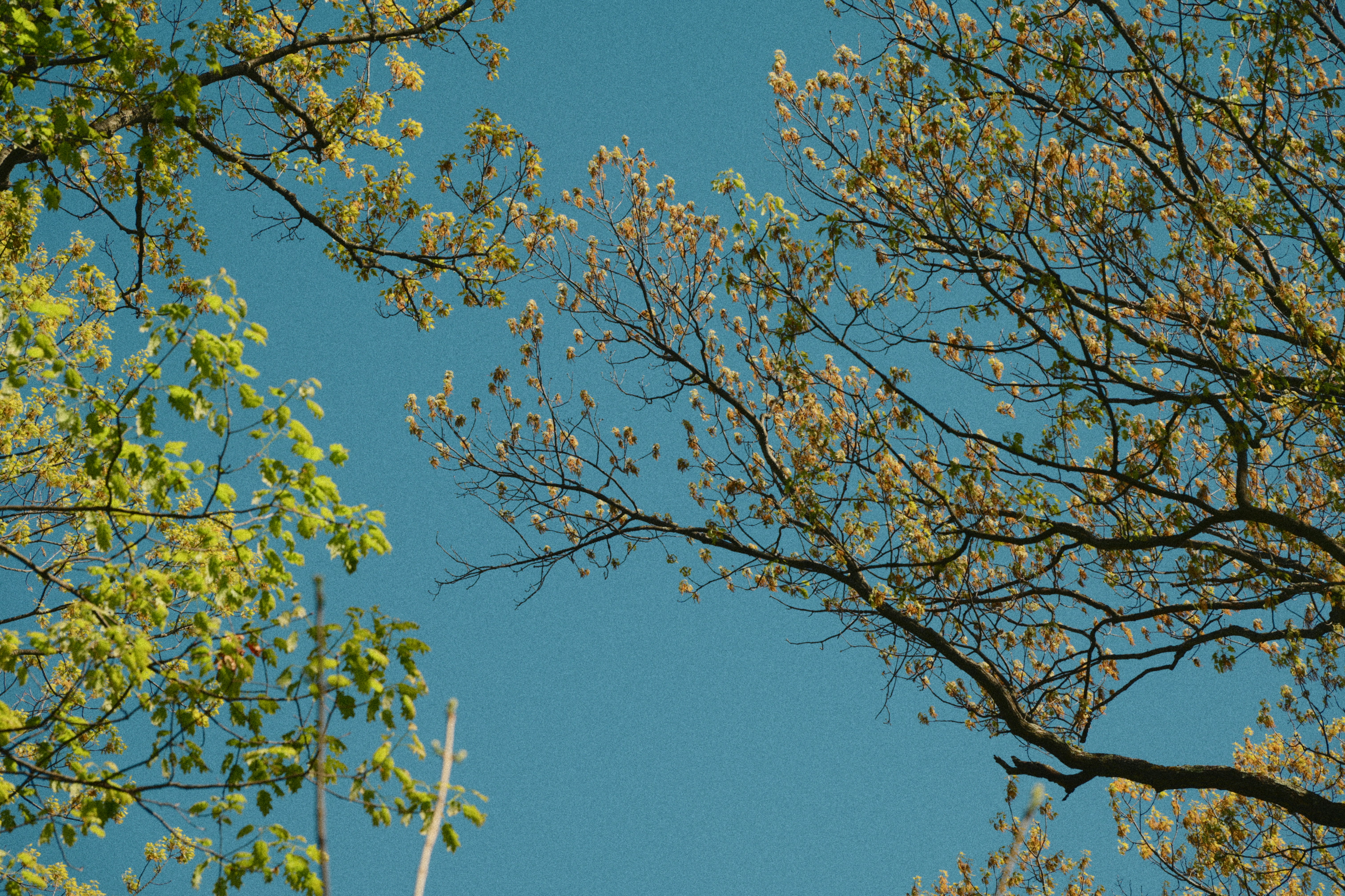 Photo by yi2026