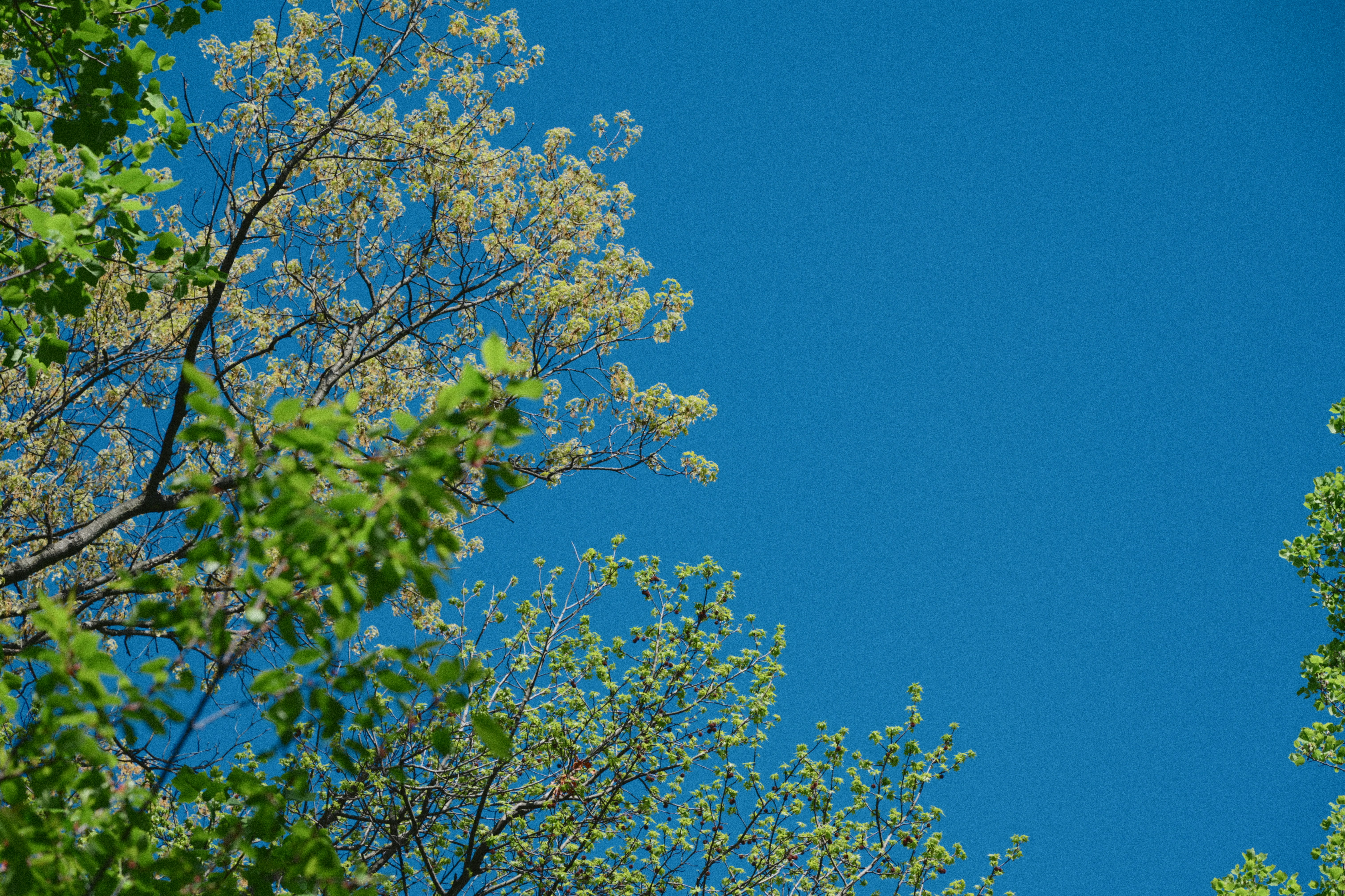 Photo by yi2026