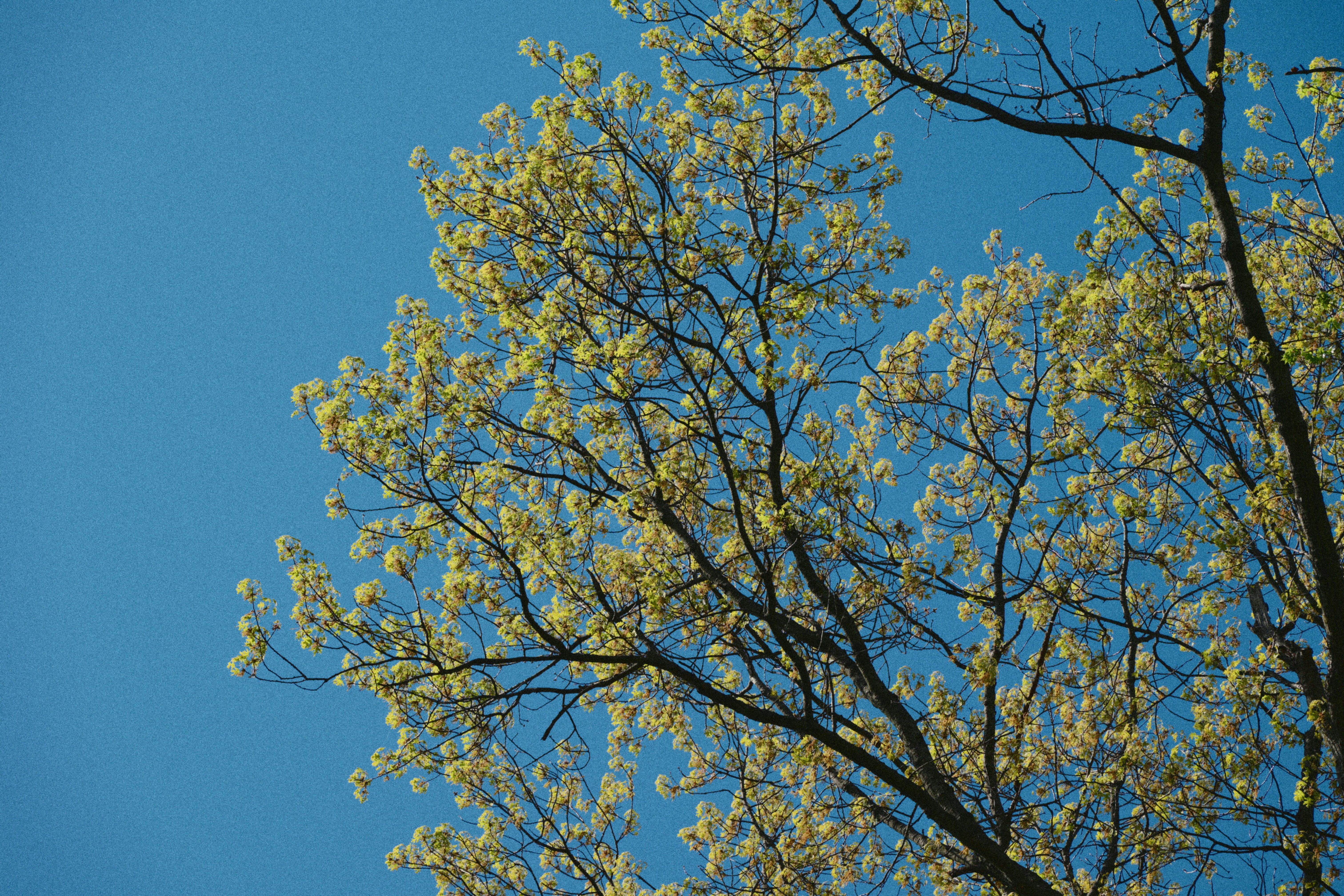 Photo by yi2026